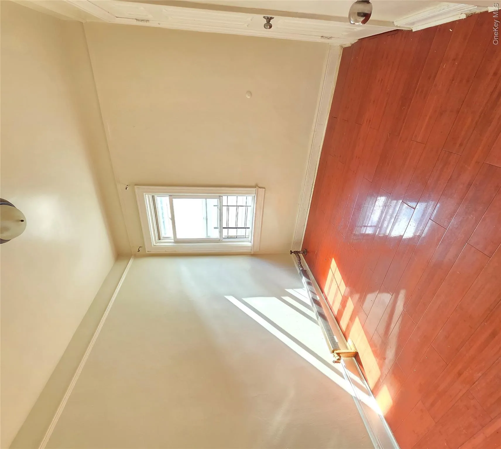 4229 Bruner Avenue, New York, NY, 4 Bedrooms Bedrooms, 7 Rooms Rooms,3 BathroomsBathrooms,Residential,For Rent,Bruner,0,1062567 4229 Bruner Avenue, New York, NY, 4 Bedrooms Bedrooms, 7 Rooms Rooms,3 BathroomsBathrooms,Residential,For Rent,Bruner,0,1062567
