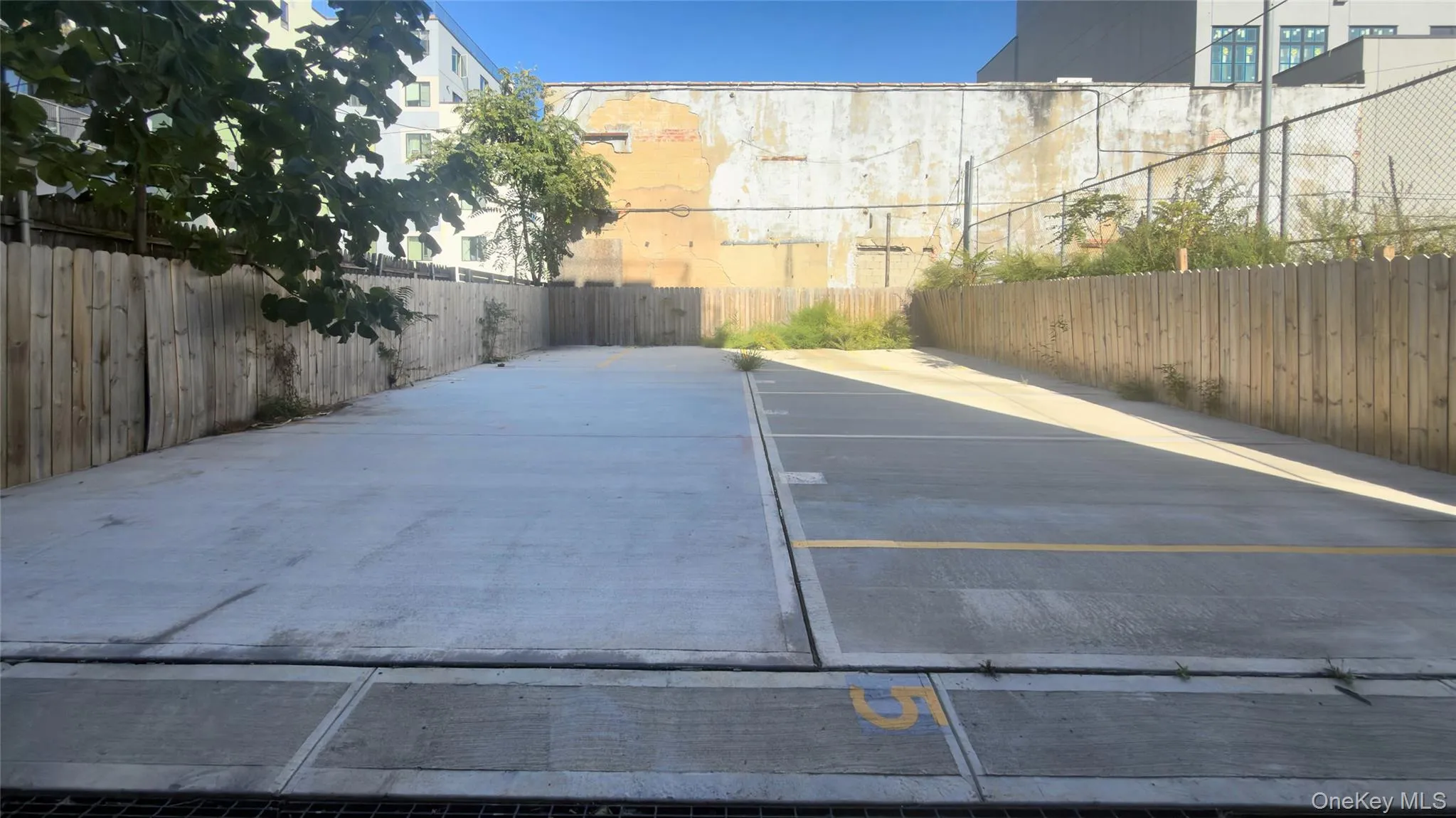 227 Clarkson Avenue, New York, NY, 1 Bedroom Bedrooms, 4 Room Rooms,1 BathroomBathrooms,Residential Lease,For Rent,Clarkson,0,1062580 227 Clarkson Avenue, New York, NY, 1 Bedroom Bedrooms, 4 Room Rooms,1 BathroomBathrooms,Residential Lease,For Rent,Clarkson,0,1062580