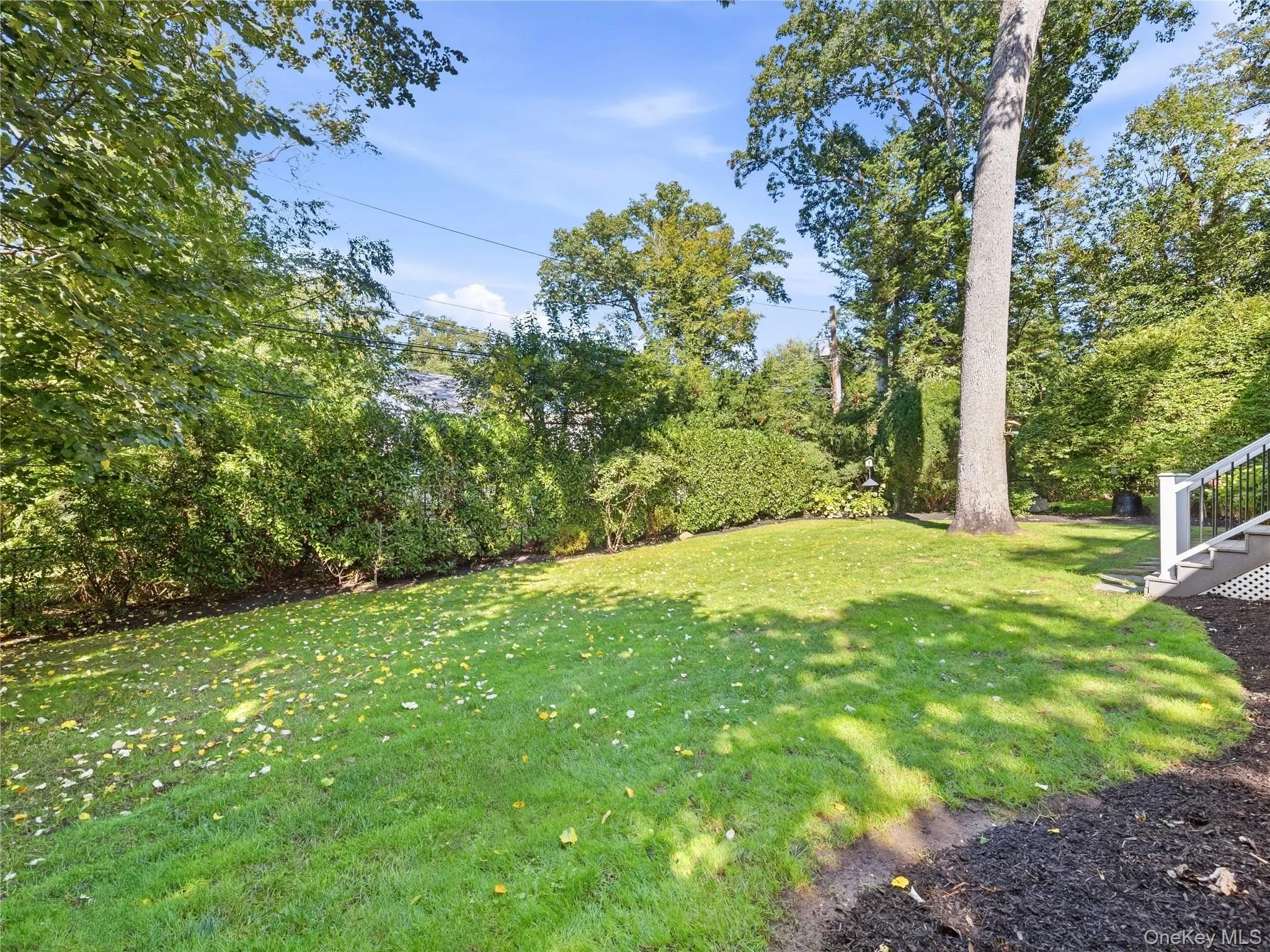 95 Dartmouth Road, North Hempstead, NY, 5 Bedrooms Bedrooms, 9 Rooms Rooms,3 BathroomsBathrooms,Residential,For Rent,Dartmouth,0,1062593 95 Dartmouth Road, North Hempstead, NY, 5 Bedrooms Bedrooms, 9 Rooms Rooms,3 BathroomsBathrooms,Residential,For Rent,Dartmouth,0,1062593