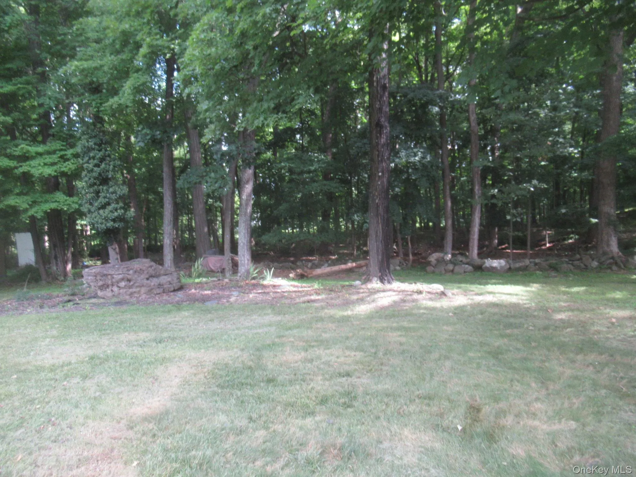 Wooded rear yard Wooded rear yard