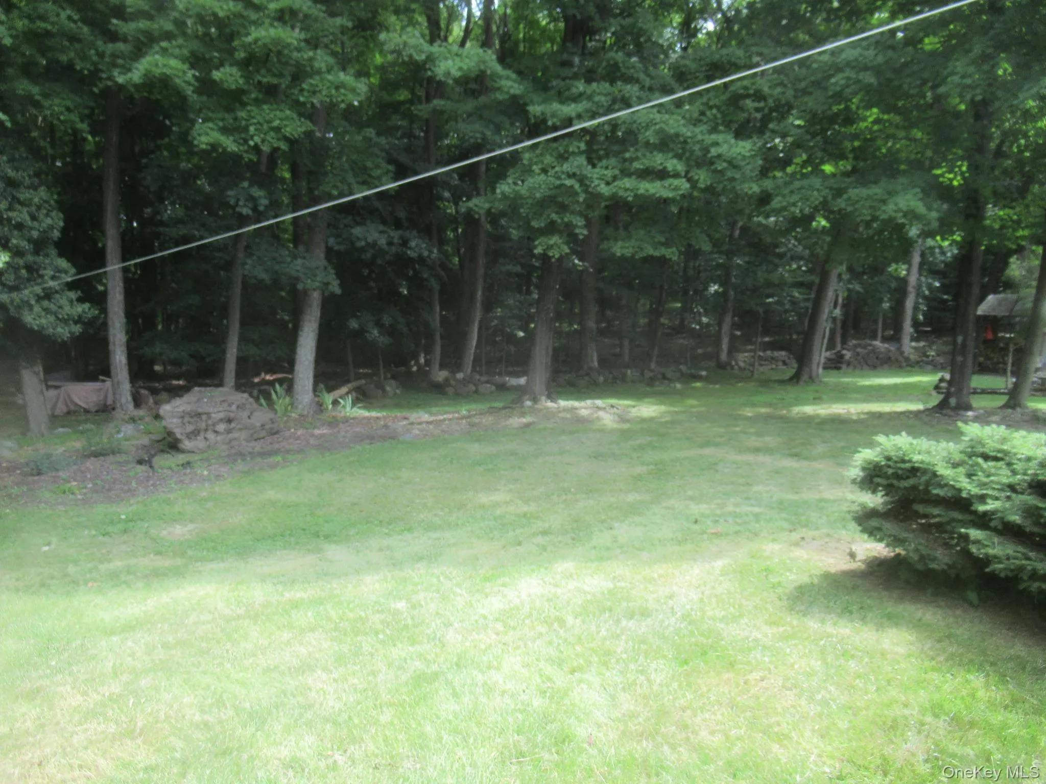 Back yard Back yard