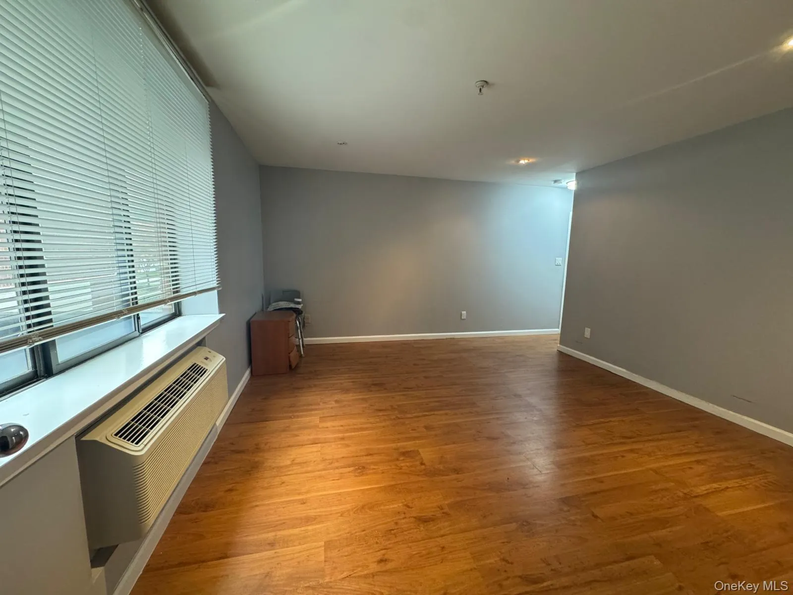 10 Canterbury Road, North Hempstead, NY, 1 Bedroom Bedrooms, 4 Rooms Rooms,1 BathroomBathrooms,Residential,For Rent,Canterbury,0,1062696 10 Canterbury Road, North Hempstead, NY, 1 Bedroom Bedrooms, 4 Rooms Rooms,1 BathroomBathrooms,Residential,For Rent,Canterbury,0,1062696