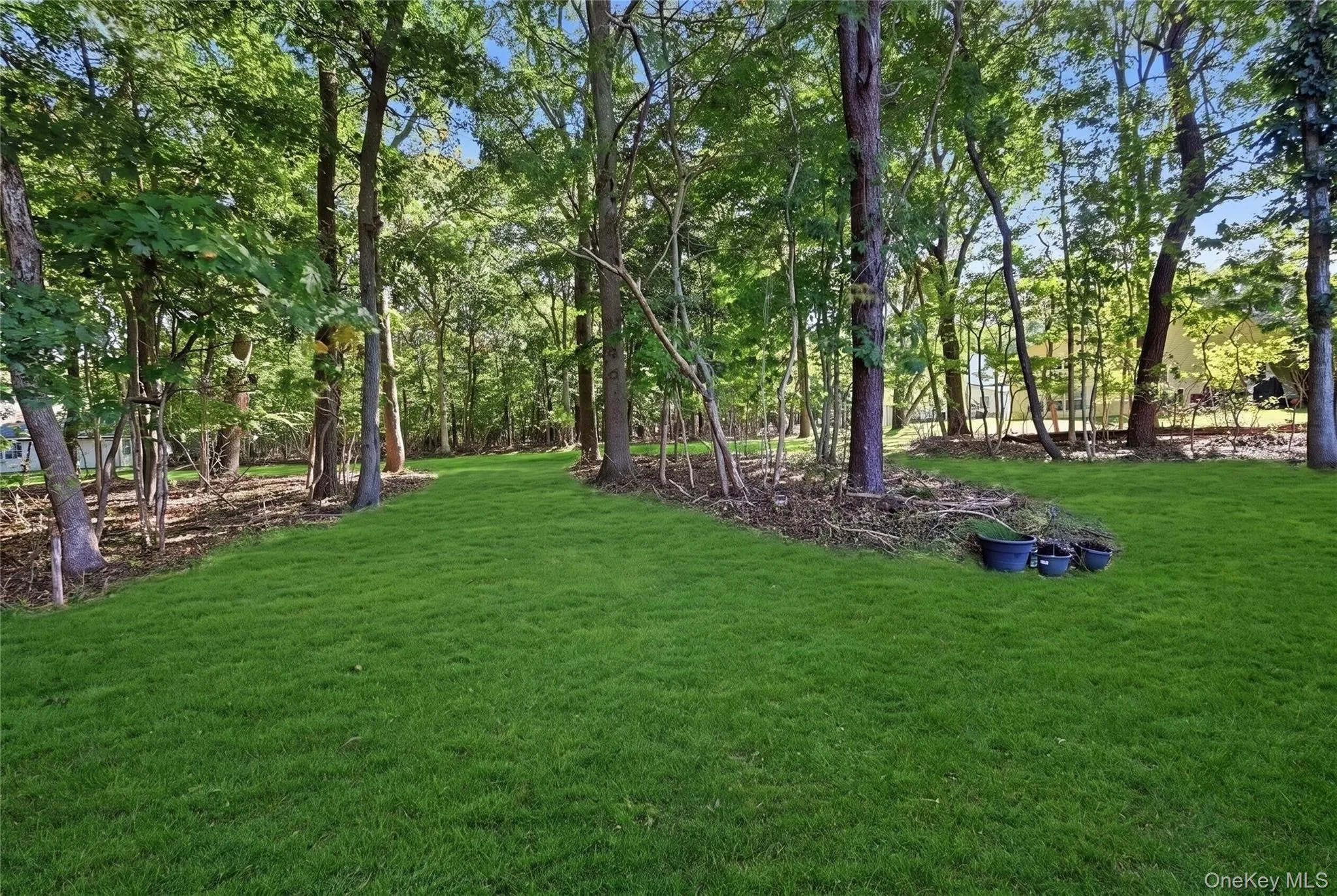 23 Saddlebrook Court, Brookhaven, NY, 3 Bedrooms Bedrooms, 6 Rooms Rooms,2 BathroomsBathrooms,Residential,For Rent,Saddlebrook,0,1062881 23 Saddlebrook Court, Brookhaven, NY, 3 Bedrooms Bedrooms, 6 Rooms Rooms,2 BathroomsBathrooms,Residential,For Rent,Saddlebrook,0,1062881