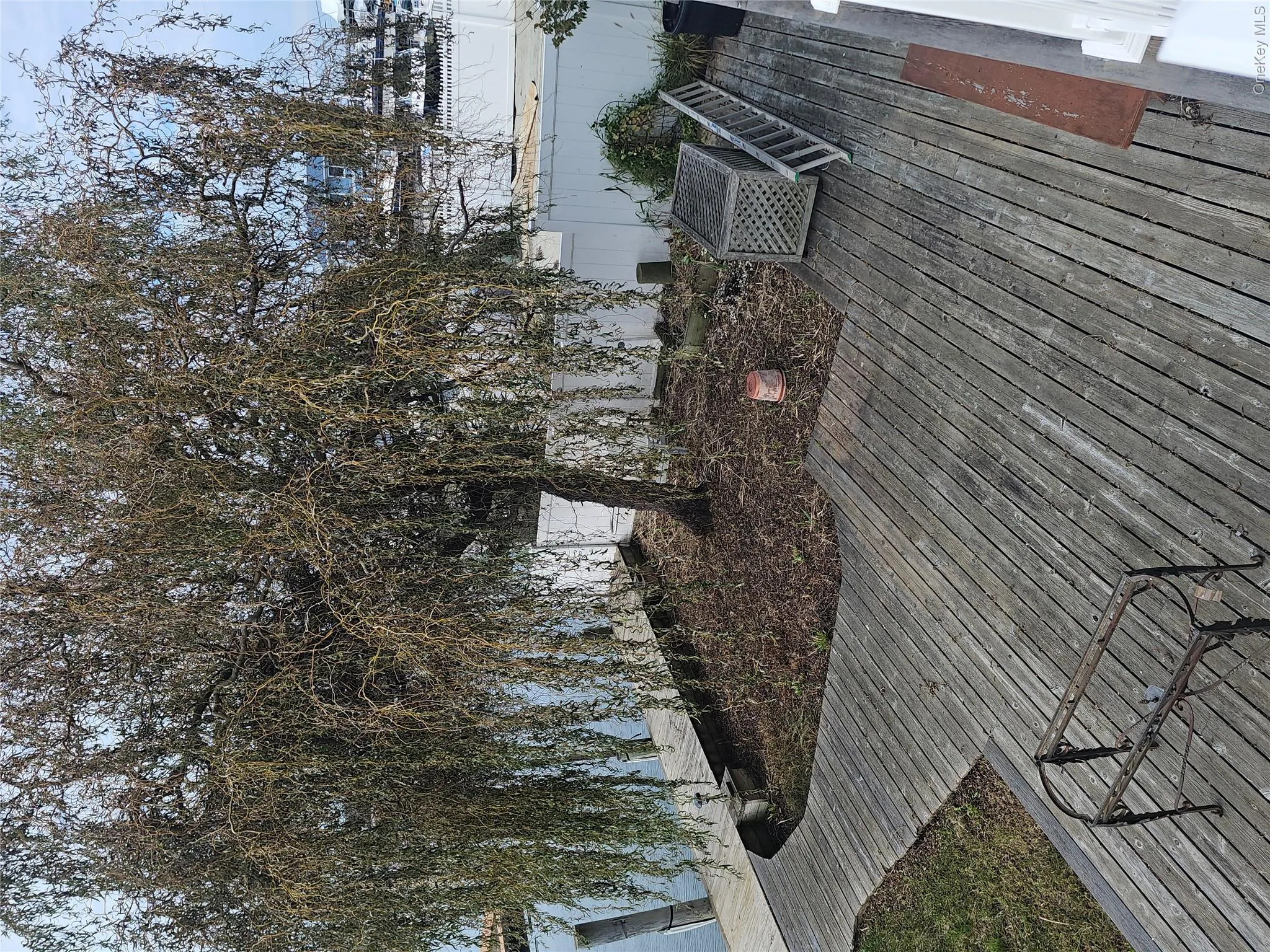 Waterfront property featuring a wood-plank deck, mature weeping willow, and private dock Waterfront property featuring a wood-plank deck, mature weeping willow, and private dock