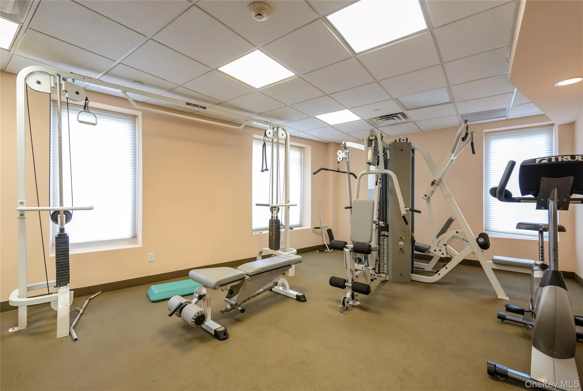 242 Maple Avenue, North Hempstead, NY, 2 Bedrooms Bedrooms, 5 Rooms Rooms,2 BathroomsBathrooms,Residential Lease,For Rent,Maple,0,1062910 242 Maple Avenue, North Hempstead, NY, 2 Bedrooms Bedrooms, 5 Rooms Rooms,2 BathroomsBathrooms,Residential Lease,For Rent,Maple,0,1062910