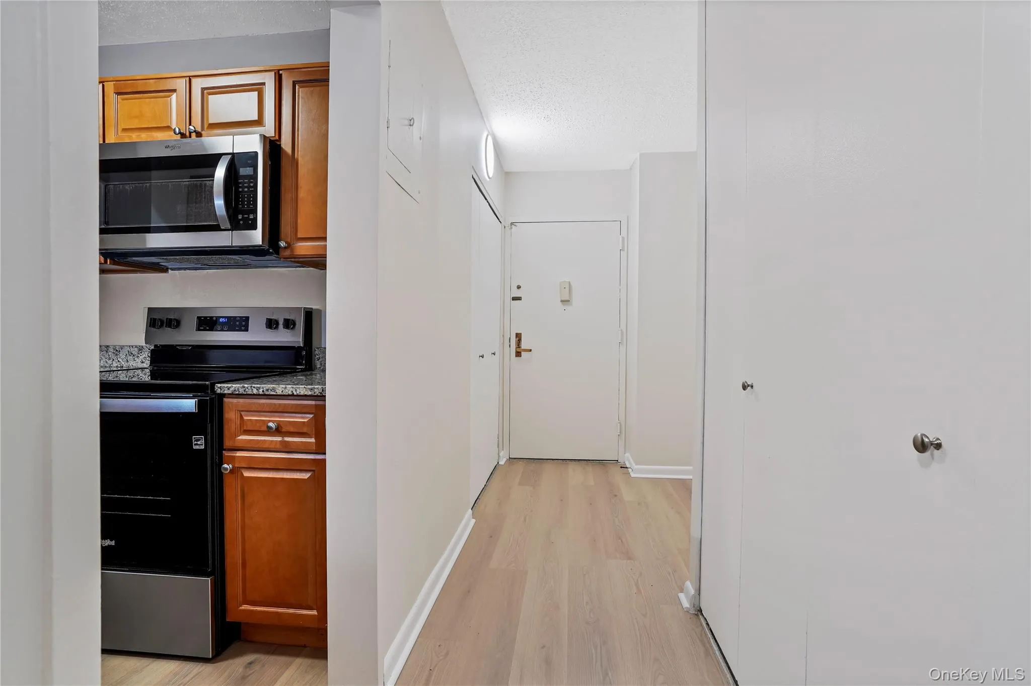 Two large closets and entry to kitchen. Two large closets and entry to kitchen.