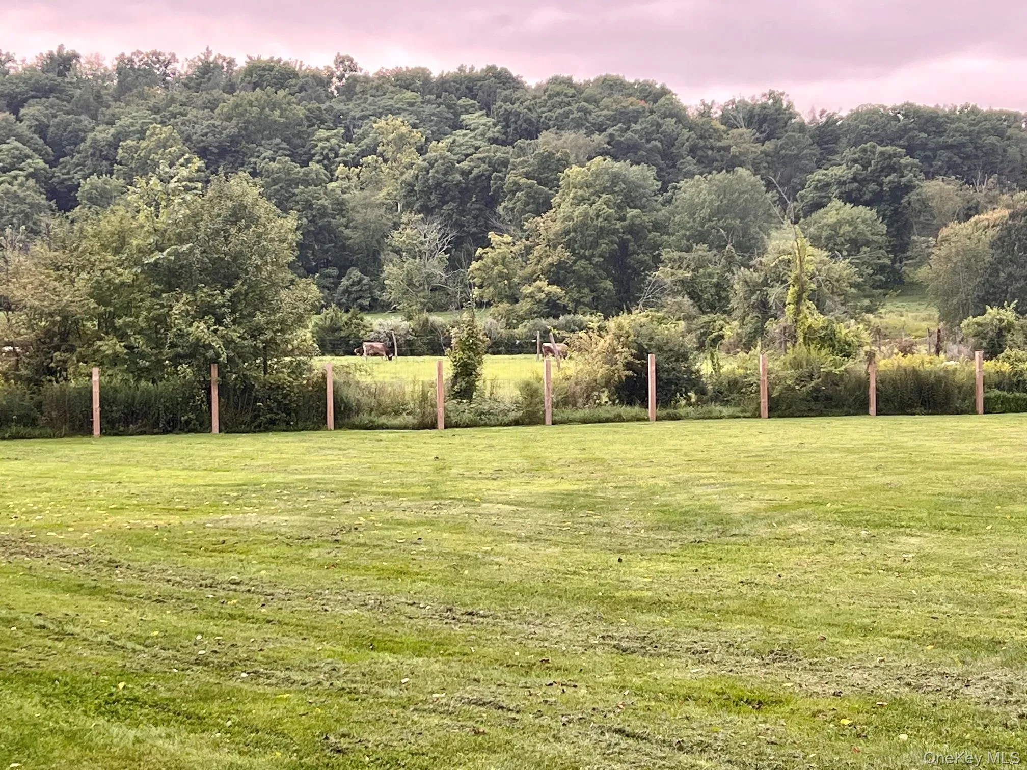 541 Verbank Road, Washington, NY, 2 Bedrooms Bedrooms, 7 Rooms Rooms,1 BathroomBathrooms,Residential Lease,For Rent,Verbank,0,1062984 541 Verbank Road, Washington, NY, 2 Bedrooms Bedrooms, 7 Rooms Rooms,1 BathroomBathrooms,Residential Lease,For Rent,Verbank,0,1062984