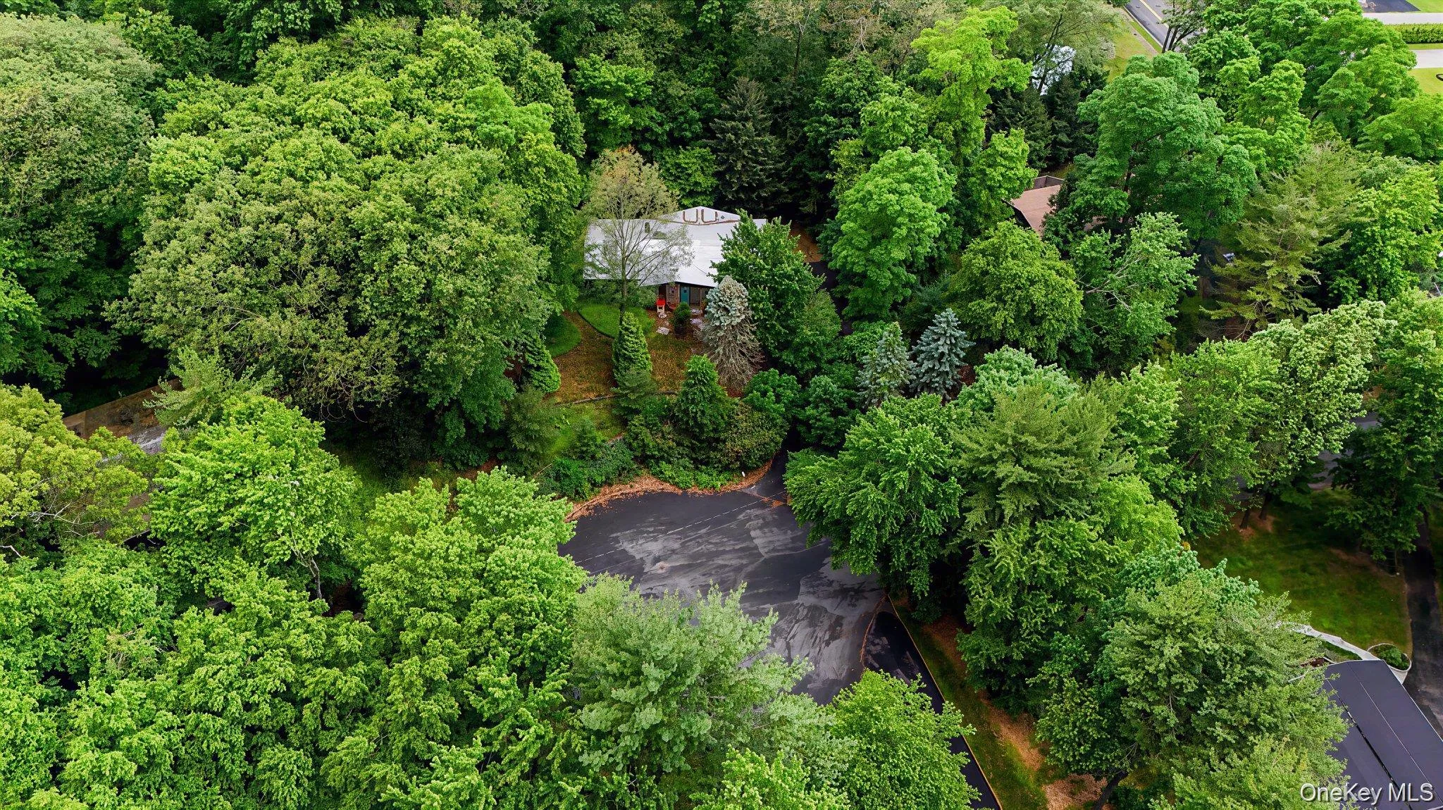 3 Forest Lane, Ramapo, NY, 4 Bedrooms Bedrooms, 10 Rooms Rooms,3 BathroomsBathrooms,Residential,For Rent,Forest,0,1062996 3 Forest Lane, Ramapo, NY, 4 Bedrooms Bedrooms, 10 Rooms Rooms,3 BathroomsBathrooms,Residential,For Rent,Forest,0,1062996