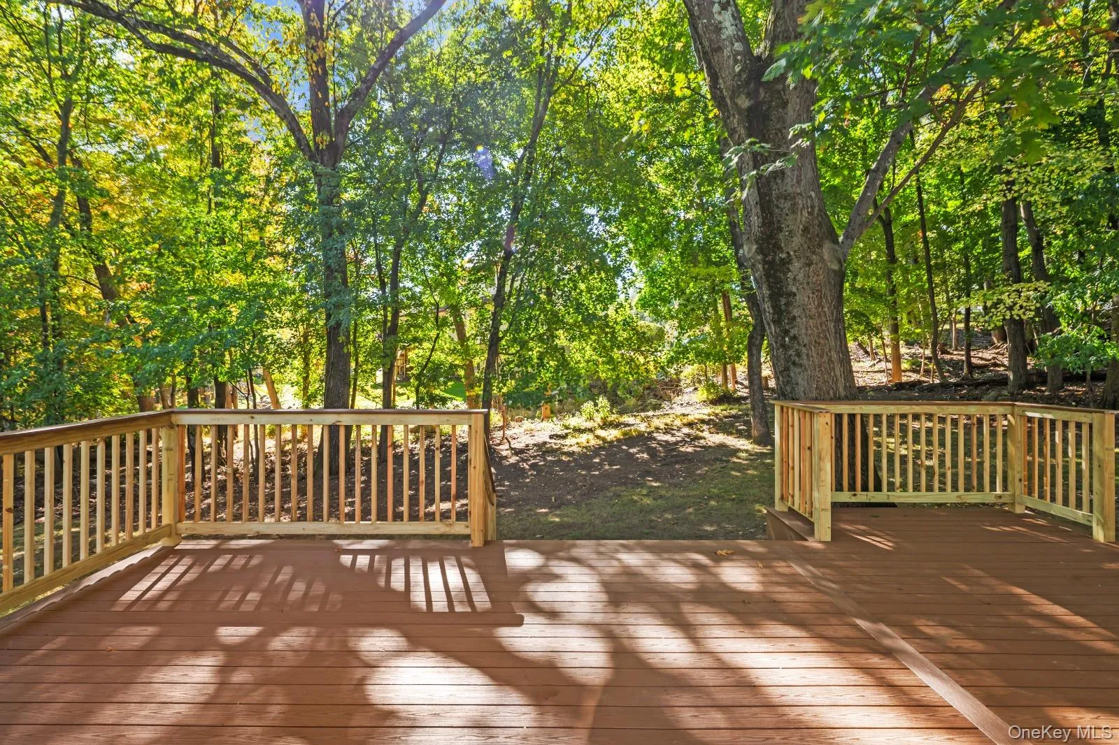 36 Montclair Avenue, Ramapo, NY, 4 Bedrooms Bedrooms, 12 Rooms Rooms,2 BathroomsBathrooms,Residential,For Rent,Montclair,0,1063026 36 Montclair Avenue, Ramapo, NY, 4 Bedrooms Bedrooms, 12 Rooms Rooms,2 BathroomsBathrooms,Residential,For Rent,Montclair,0,1063026
