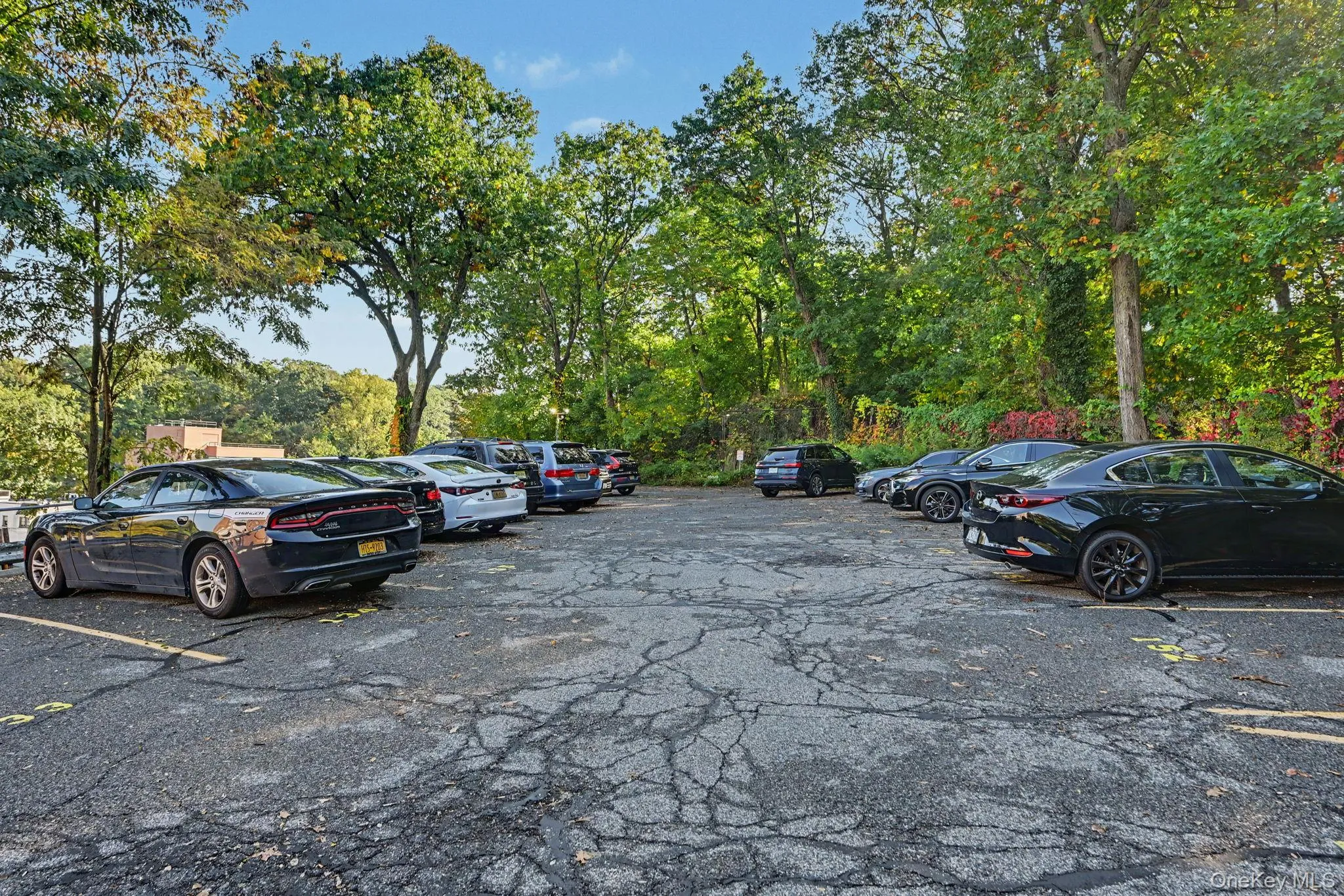 Visitor parking area. Visitor parking area.