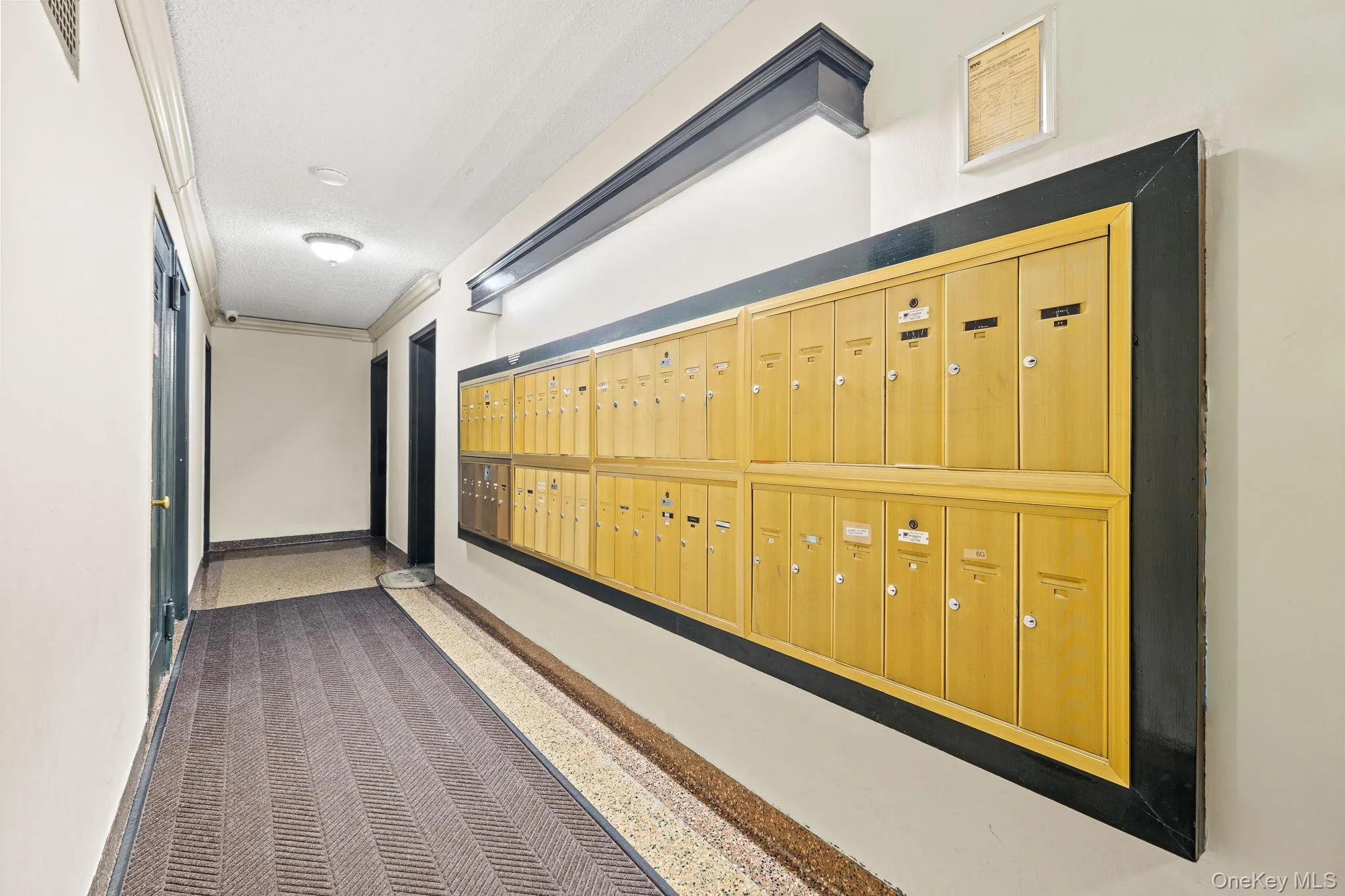 2105 Wallace Avenue, New York, NY, 1 Bedroom Bedrooms, 3 Rooms Rooms,1 BathroomBathrooms,Residential,For Rent,Wallace,0,1063075 2105 Wallace Avenue, New York, NY, 1 Bedroom Bedrooms, 3 Rooms Rooms,1 BathroomBathrooms,Residential,For Rent,Wallace,0,1063075