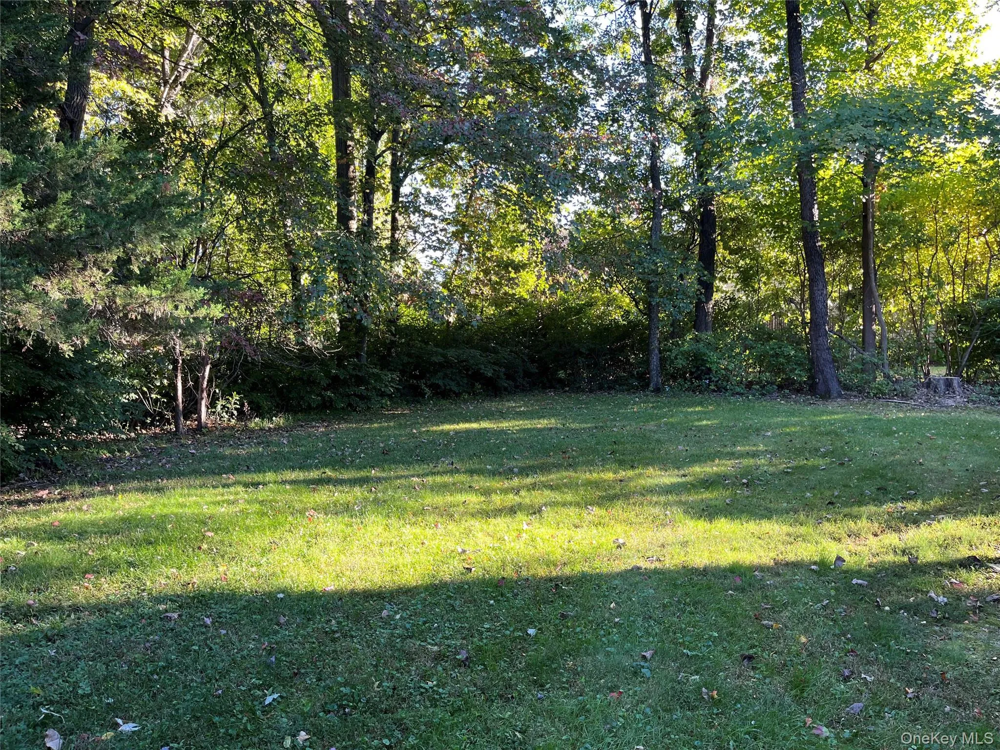 15 Rick Lane, Cortlandt, NY, 3 Bedrooms Bedrooms, 9 Rooms Rooms,1 BathroomBathrooms,Residential,For Rent,Rick,0,1063132 15 Rick Lane, Cortlandt, NY, 3 Bedrooms Bedrooms, 9 Rooms Rooms,1 BathroomBathrooms,Residential,For Rent,Rick,0,1063132