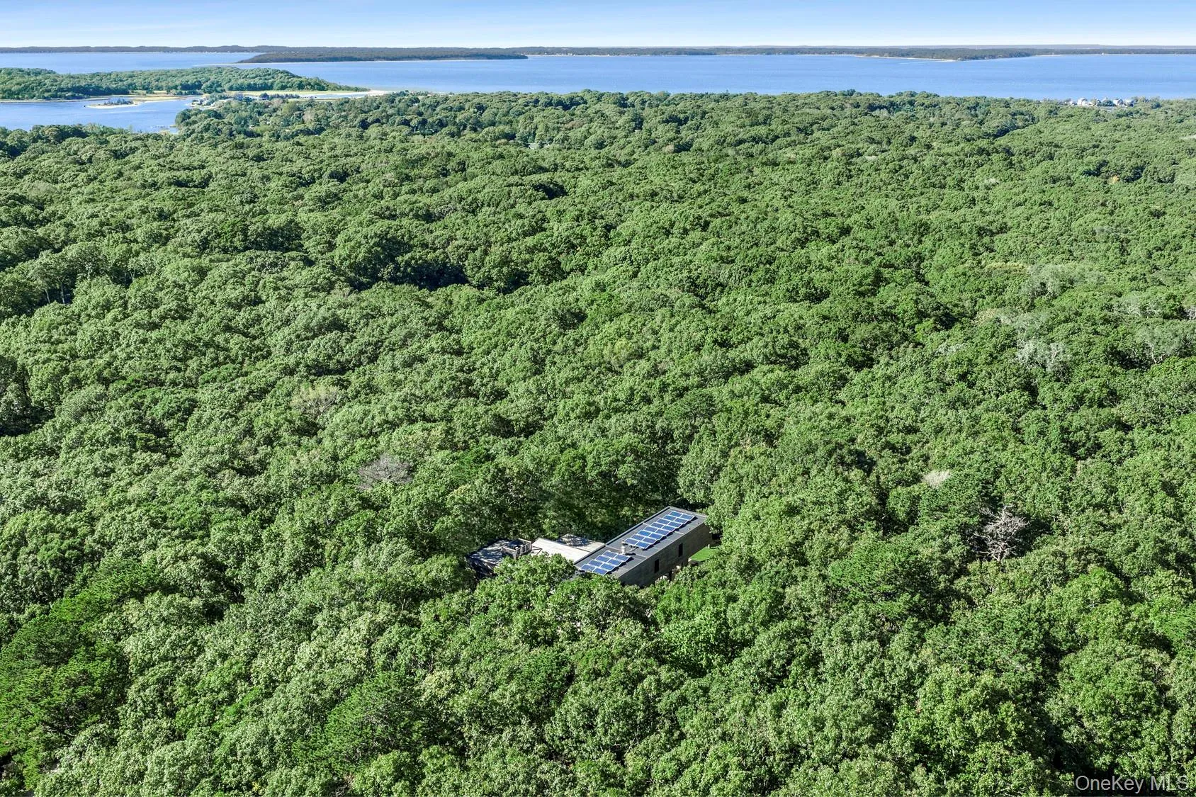 137 Great Hill Road, Southampton, NY, 5 Bedrooms Bedrooms, 10 Rooms Rooms,4 BathroomsBathrooms,Residential,For Rent,Great Hill,0,1063165 137 Great Hill Road, Southampton, NY, 5 Bedrooms Bedrooms, 10 Rooms Rooms,4 BathroomsBathrooms,Residential,For Rent,Great Hill,0,1063165