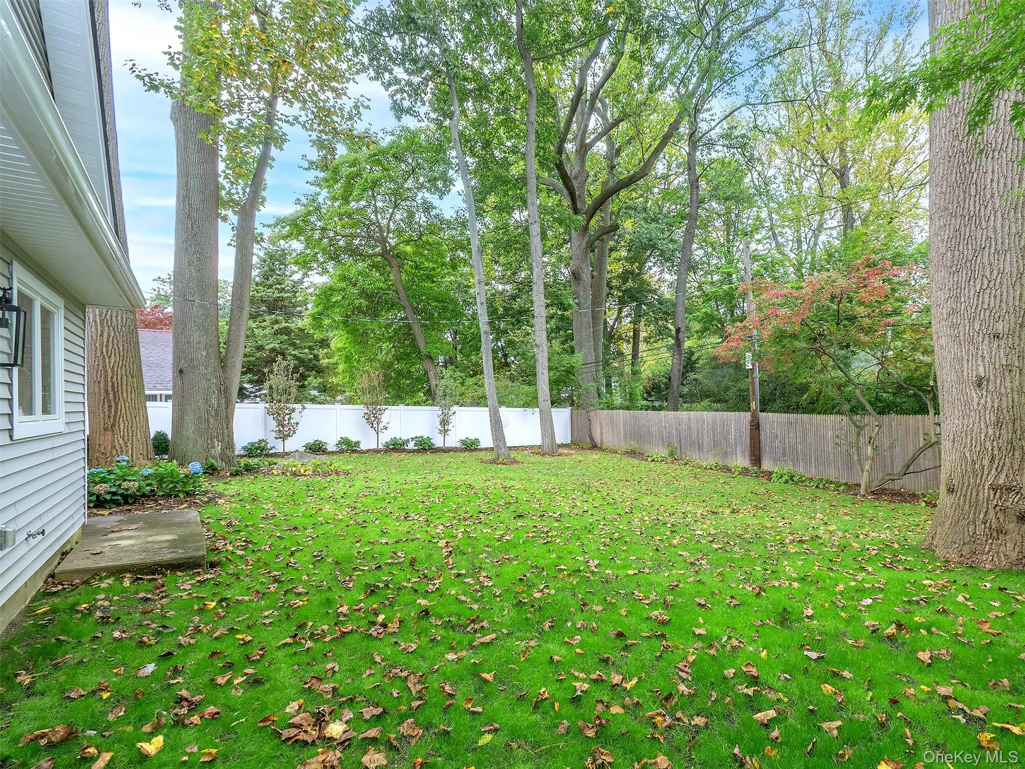 Fully fenced in yard. Fully fenced in yard.