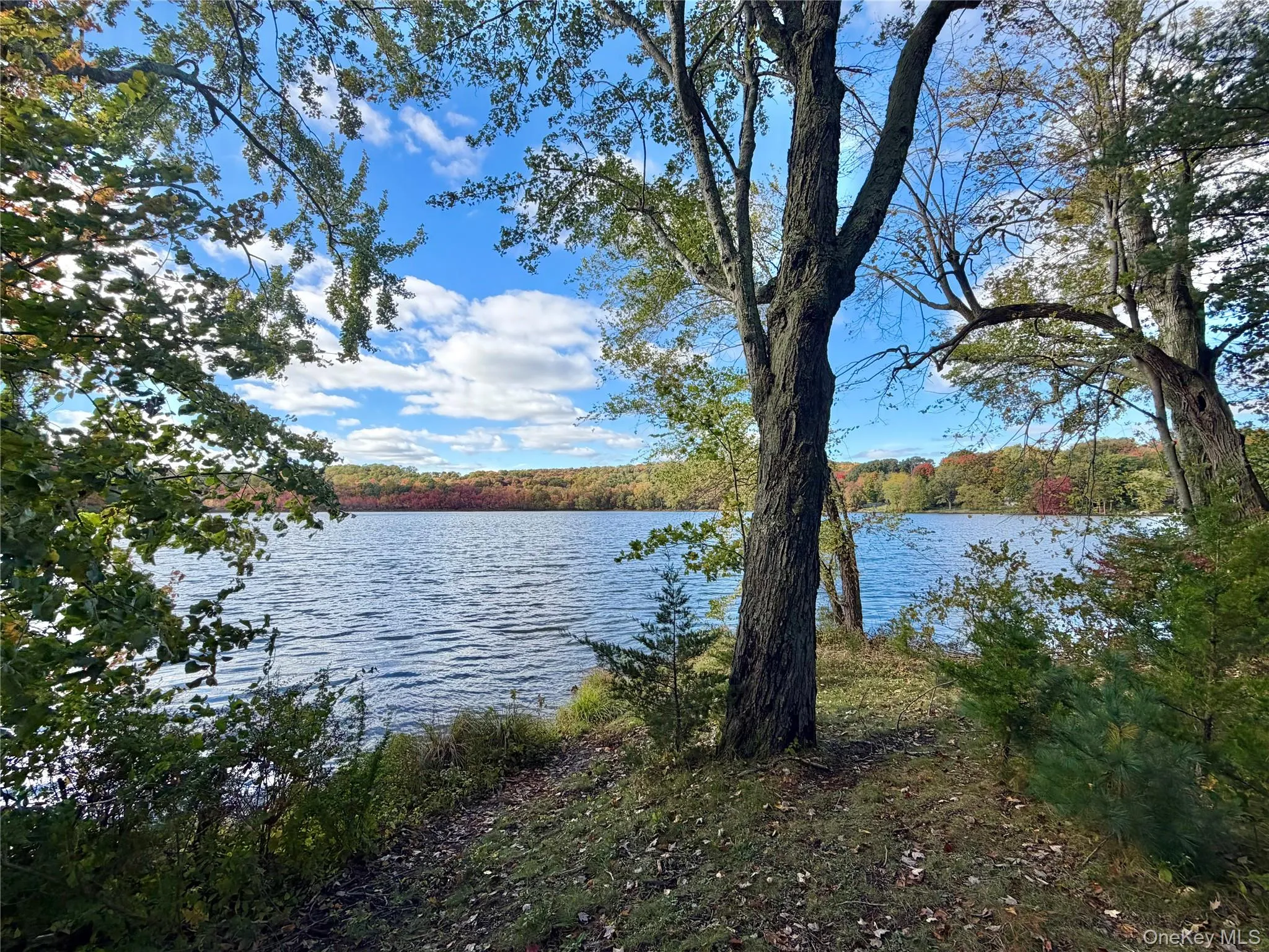 304 Round Lake Terrace, Monroe, NY, ,Land,For Rent,Round Lake,0,1063400 304 Round Lake Terrace, Monroe, NY, ,Land,For Rent,Round Lake,0,1063400