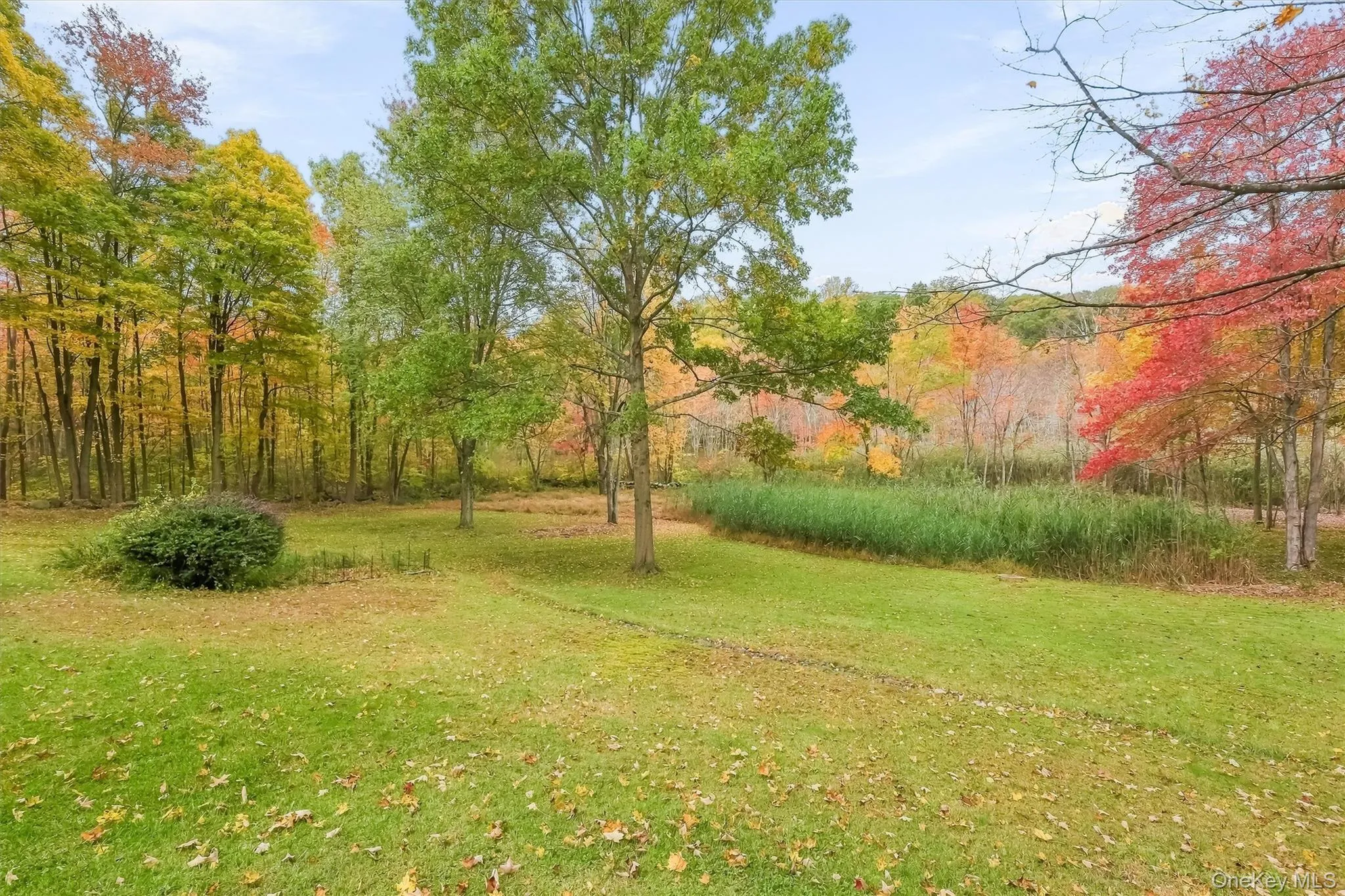 127 Croton Avenue, Cortlandt, NY, 3 Bedrooms Bedrooms, 10 Rooms Rooms,2 BathroomsBathrooms,Residential,For Rent,Croton,0,1063404 127 Croton Avenue, Cortlandt, NY, 3 Bedrooms Bedrooms, 10 Rooms Rooms,2 BathroomsBathrooms,Residential,For Rent,Croton,0,1063404