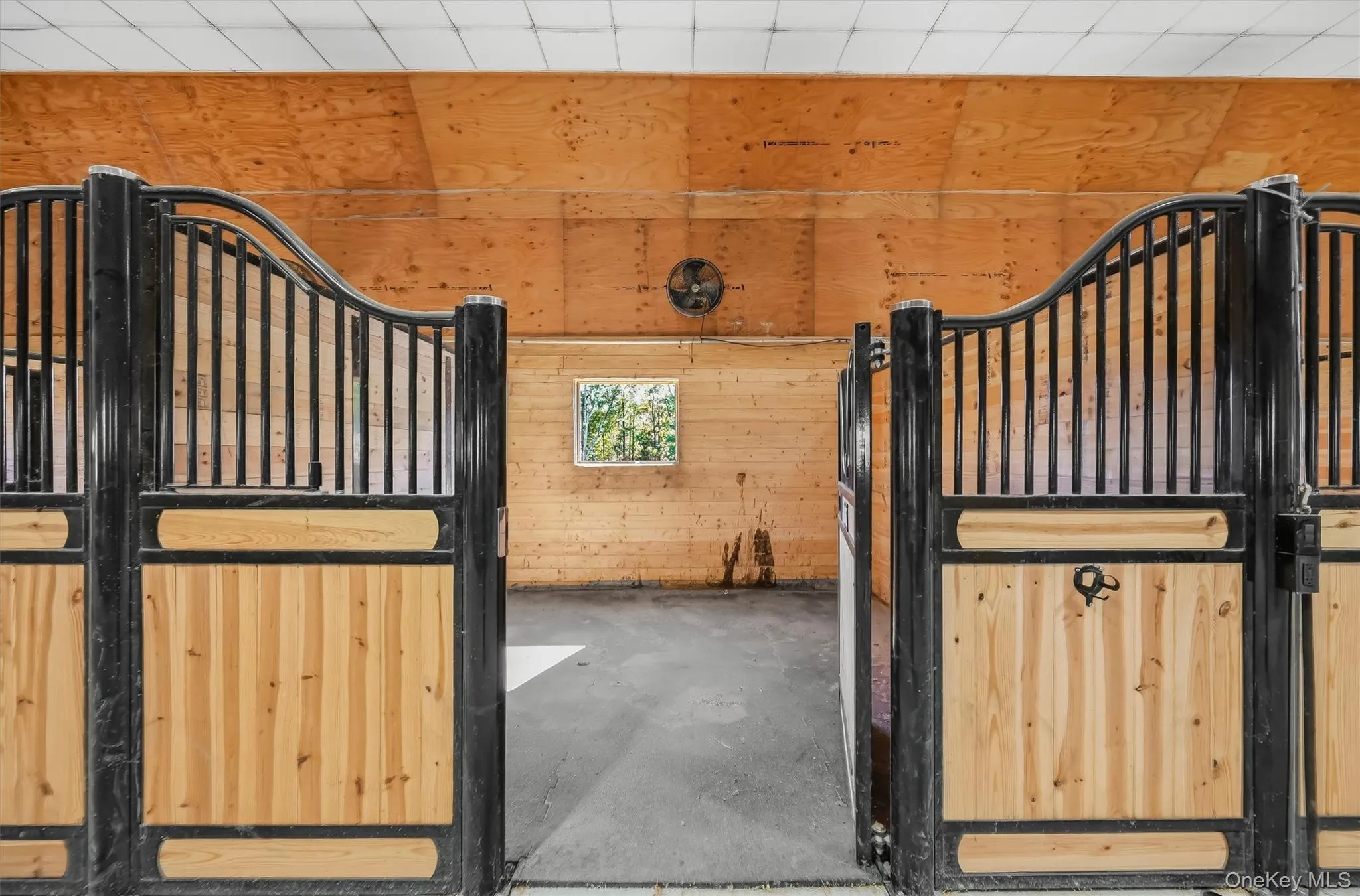 39 Everett Road, Goshen, NY, 4 Bedrooms Bedrooms, 12 Rooms Rooms,4 BathroomsBathrooms,Residential,For Rent,Everett,0,1063406 39 Everett Road, Goshen, NY, 4 Bedrooms Bedrooms, 12 Rooms Rooms,4 BathroomsBathrooms,Residential,For Rent,Everett,0,1063406