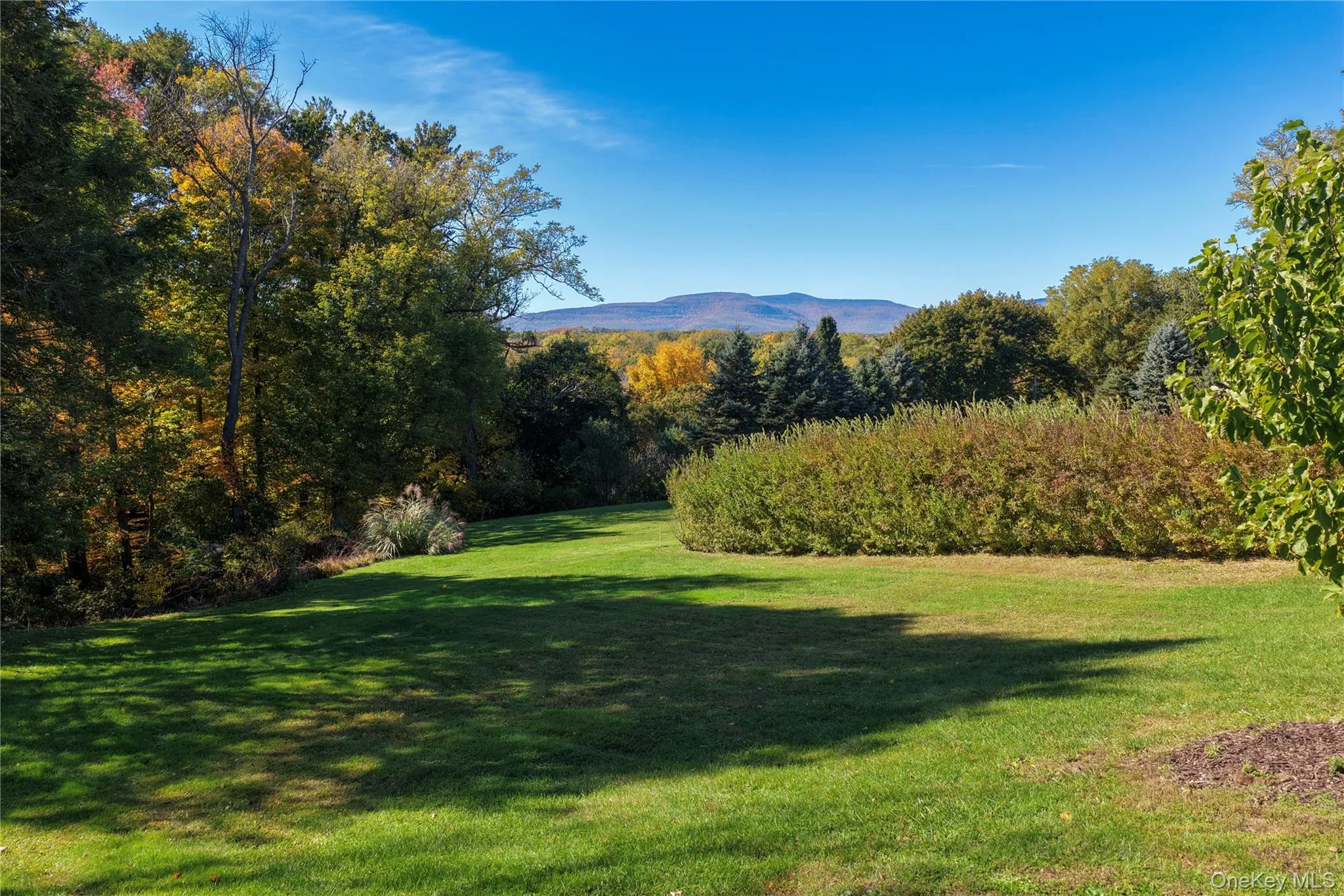 25 Wildwing Park, Catskill, NY, 4 Bedrooms Bedrooms, 8 Rooms Rooms,2 BathroomsBathrooms,Residential,For Rent,Wildwing,0,1063484 25 Wildwing Park, Catskill, NY, 4 Bedrooms Bedrooms, 8 Rooms Rooms,2 BathroomsBathrooms,Residential,For Rent,Wildwing,0,1063484