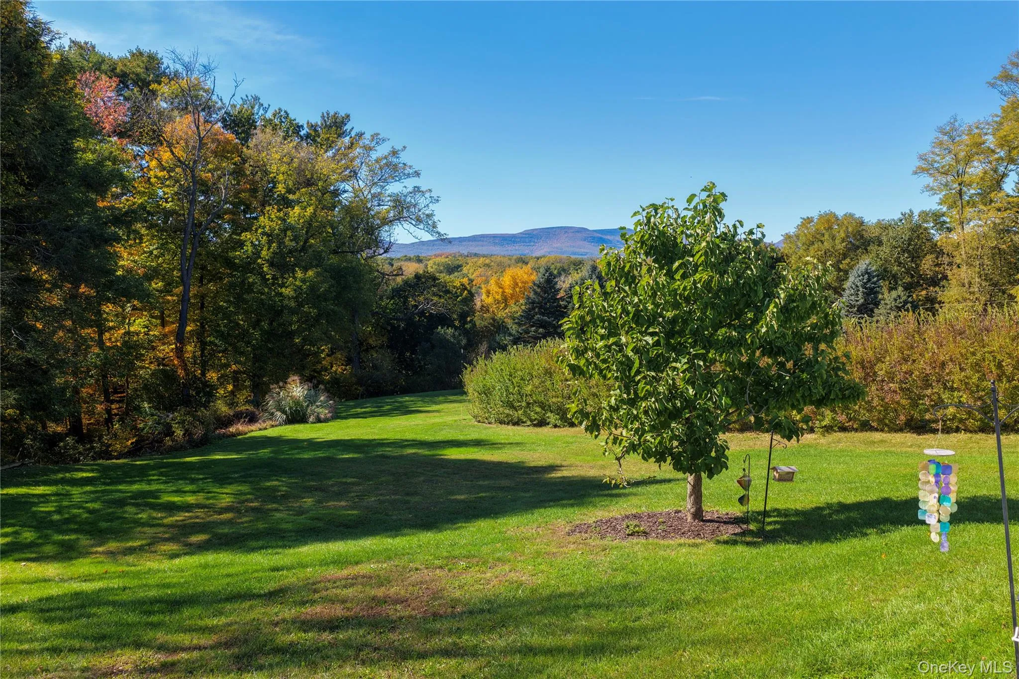 25 Wildwing Park, Catskill, NY, 4 Bedrooms Bedrooms, 8 Rooms Rooms,2 BathroomsBathrooms,Residential,For Rent,Wildwing,0,1063484 25 Wildwing Park, Catskill, NY, 4 Bedrooms Bedrooms, 8 Rooms Rooms,2 BathroomsBathrooms,Residential,For Rent,Wildwing,0,1063484