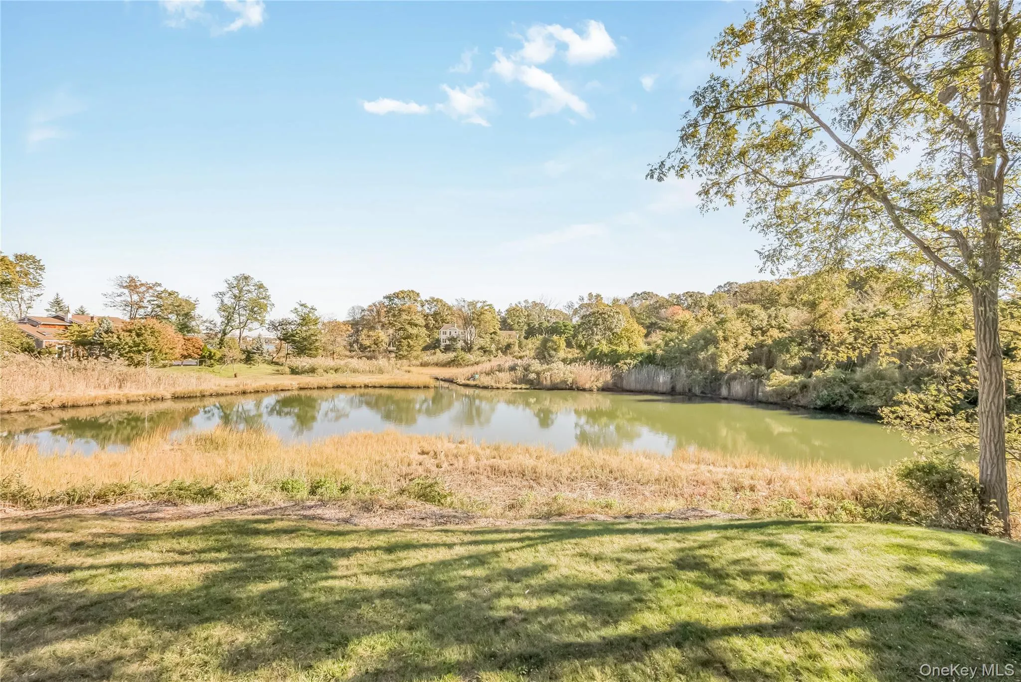 5 Kew Court, Huntington, NY, 3 Bedrooms Bedrooms, 14 Rooms Rooms,2 BathroomsBathrooms,Residential,For Rent,Kew,0,1063488 5 Kew Court, Huntington, NY, 3 Bedrooms Bedrooms, 14 Rooms Rooms,2 BathroomsBathrooms,Residential,For Rent,Kew,0,1063488