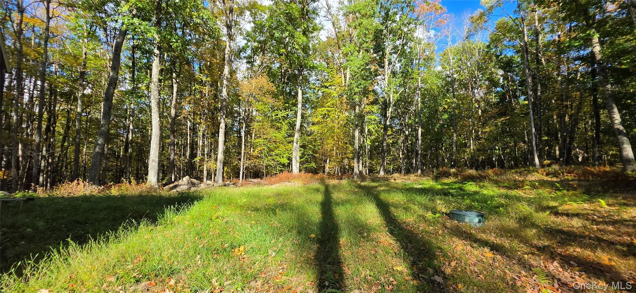 504 Cushetunk Drive, Cochecton, NY, 2 Bedrooms Bedrooms, 4 Rooms Rooms,1 BathroomBathrooms,Residential,For Rent,Cushetunk,0,1063490 504 Cushetunk Drive, Cochecton, NY, 2 Bedrooms Bedrooms, 4 Rooms Rooms,1 BathroomBathrooms,Residential,For Rent,Cushetunk,0,1063490