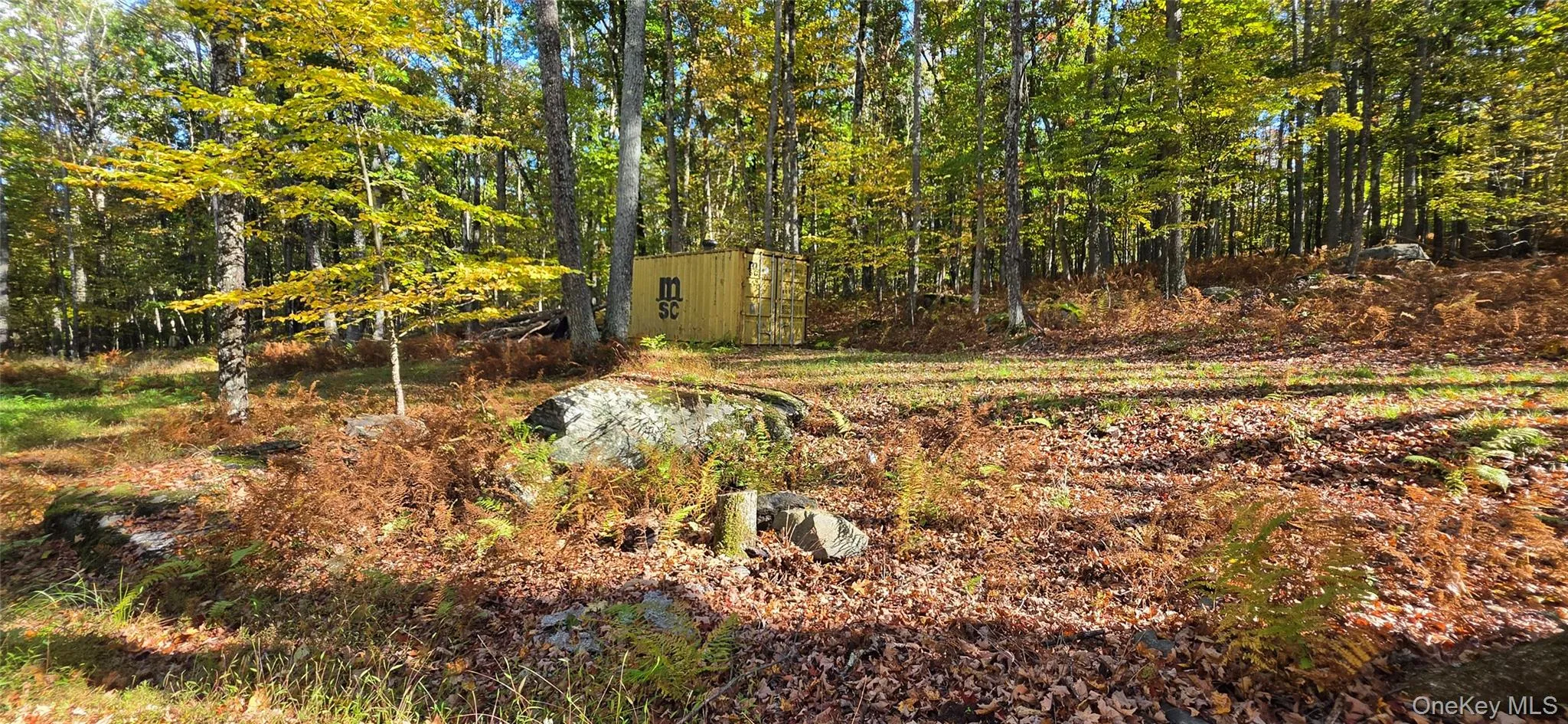 504 Cushetunk Drive, Cochecton, NY, 2 Bedrooms Bedrooms, 4 Rooms Rooms,1 BathroomBathrooms,Residential,For Rent,Cushetunk,0,1063490 504 Cushetunk Drive, Cochecton, NY, 2 Bedrooms Bedrooms, 4 Rooms Rooms,1 BathroomBathrooms,Residential,For Rent,Cushetunk,0,1063490