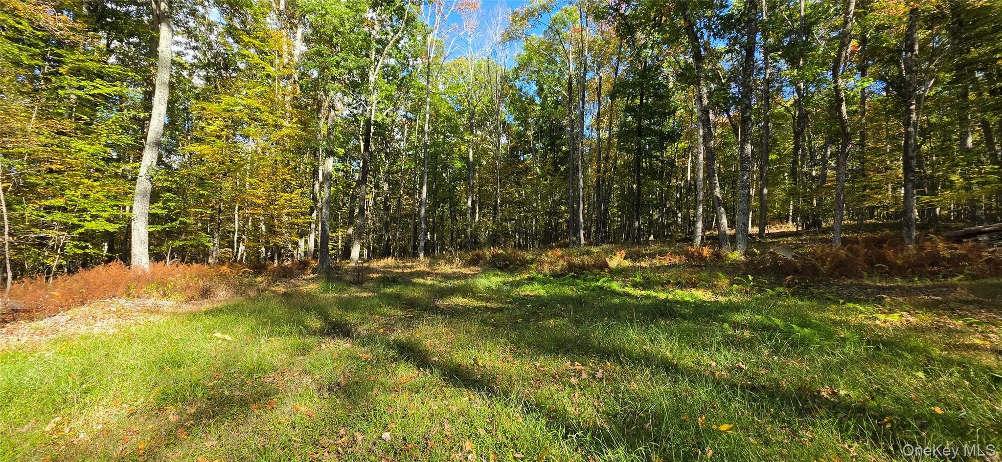 504 Cushetunk Drive, Cochecton, NY, 2 Bedrooms Bedrooms, 4 Rooms Rooms,1 BathroomBathrooms,Residential,For Rent,Cushetunk,0,1063490 504 Cushetunk Drive, Cochecton, NY, 2 Bedrooms Bedrooms, 4 Rooms Rooms,1 BathroomBathrooms,Residential,For Rent,Cushetunk,0,1063490