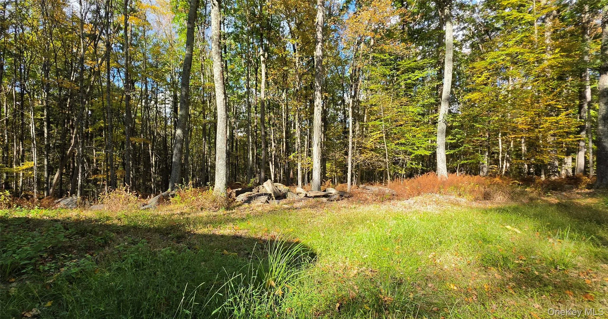 504 Cushetunk Drive, Cochecton, NY, 2 Bedrooms Bedrooms, 4 Rooms Rooms,1 BathroomBathrooms,Residential,For Rent,Cushetunk,0,1063490 504 Cushetunk Drive, Cochecton, NY, 2 Bedrooms Bedrooms, 4 Rooms Rooms,1 BathroomBathrooms,Residential,For Rent,Cushetunk,0,1063490