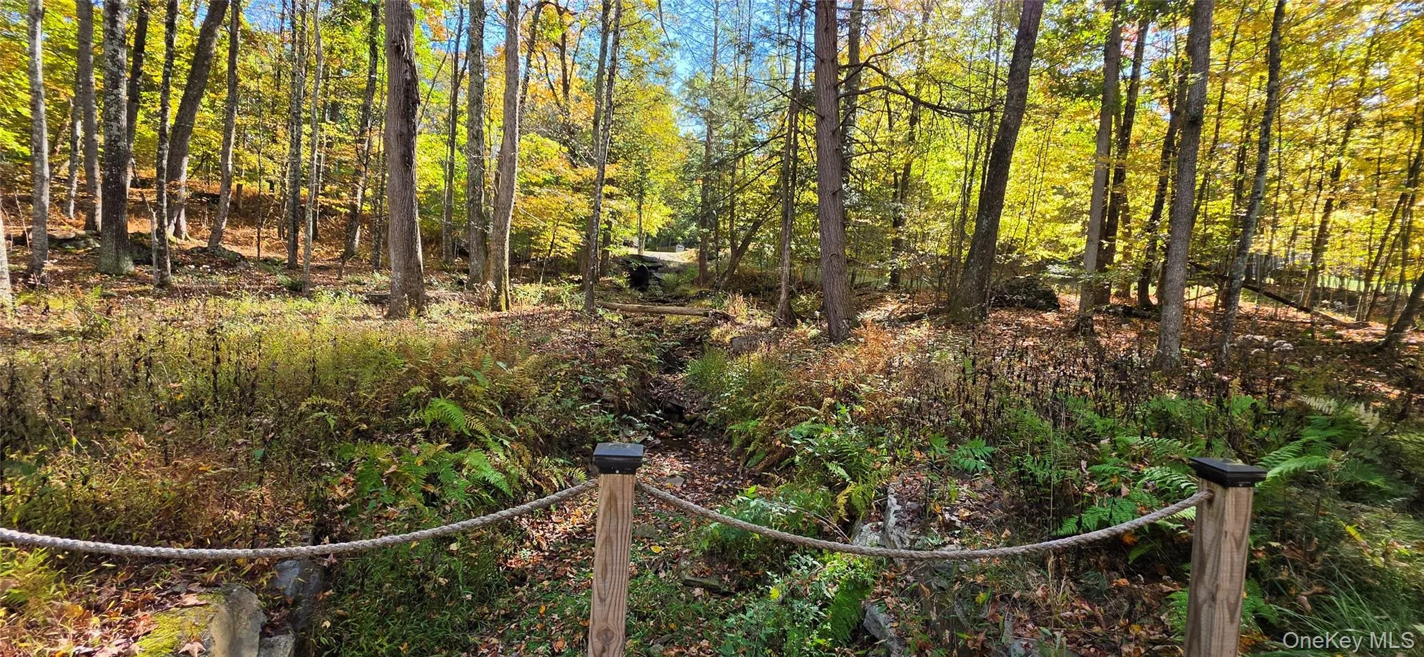 504 Cushetunk Drive, Cochecton, NY, 2 Bedrooms Bedrooms, 4 Rooms Rooms,1 BathroomBathrooms,Residential,For Rent,Cushetunk,0,1063490 504 Cushetunk Drive, Cochecton, NY, 2 Bedrooms Bedrooms, 4 Rooms Rooms,1 BathroomBathrooms,Residential,For Rent,Cushetunk,0,1063490