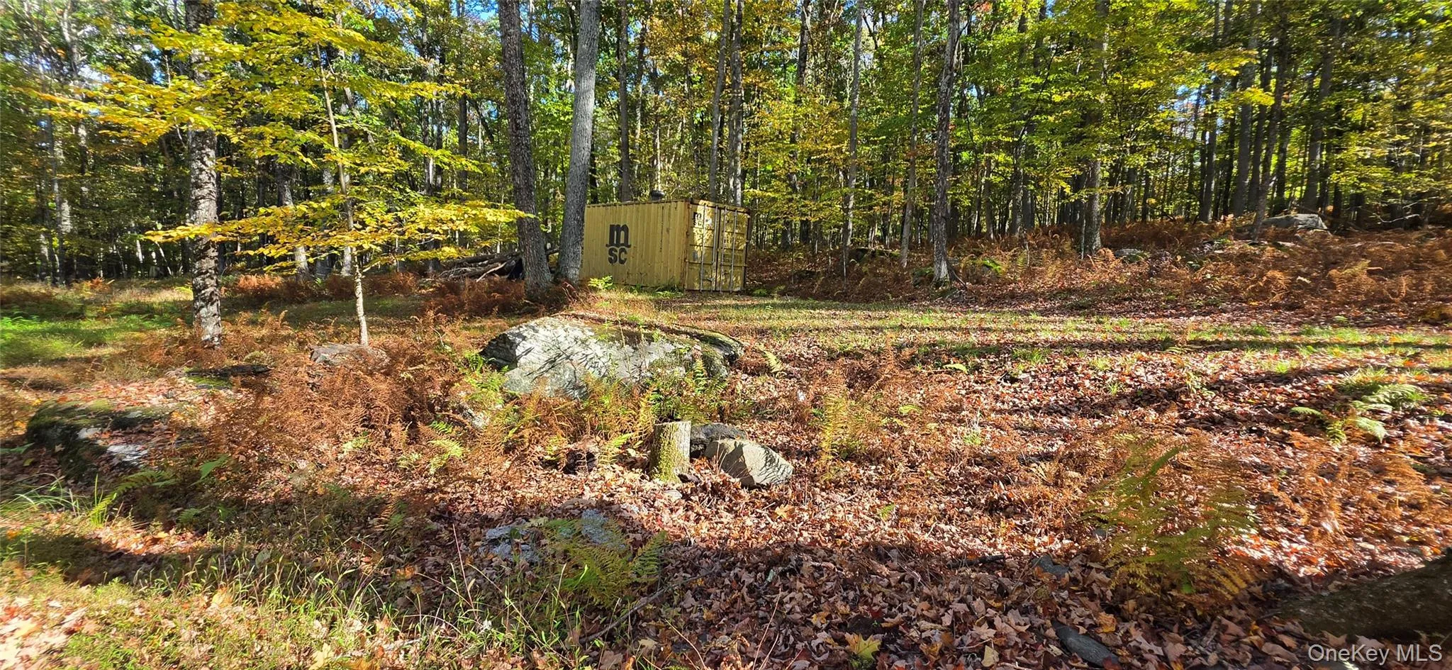 504 Cushetunk Drive, Cochecton, NY, 2 Bedrooms Bedrooms, 4 Rooms Rooms,1 BathroomBathrooms,Residential,For Rent,Cushetunk,0,1063490 504 Cushetunk Drive, Cochecton, NY, 2 Bedrooms Bedrooms, 4 Rooms Rooms,1 BathroomBathrooms,Residential,For Rent,Cushetunk,0,1063490