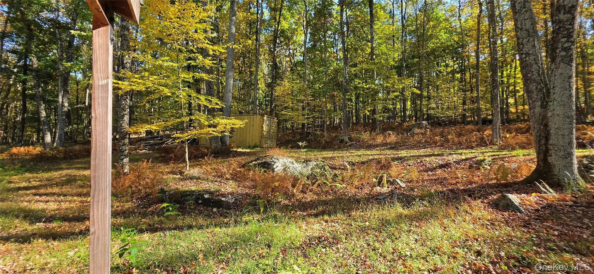 504 Cushetunk Drive, Cochecton, NY, 2 Bedrooms Bedrooms, 4 Rooms Rooms,1 BathroomBathrooms,Residential,For Rent,Cushetunk,0,1063490 504 Cushetunk Drive, Cochecton, NY, 2 Bedrooms Bedrooms, 4 Rooms Rooms,1 BathroomBathrooms,Residential,For Rent,Cushetunk,0,1063490