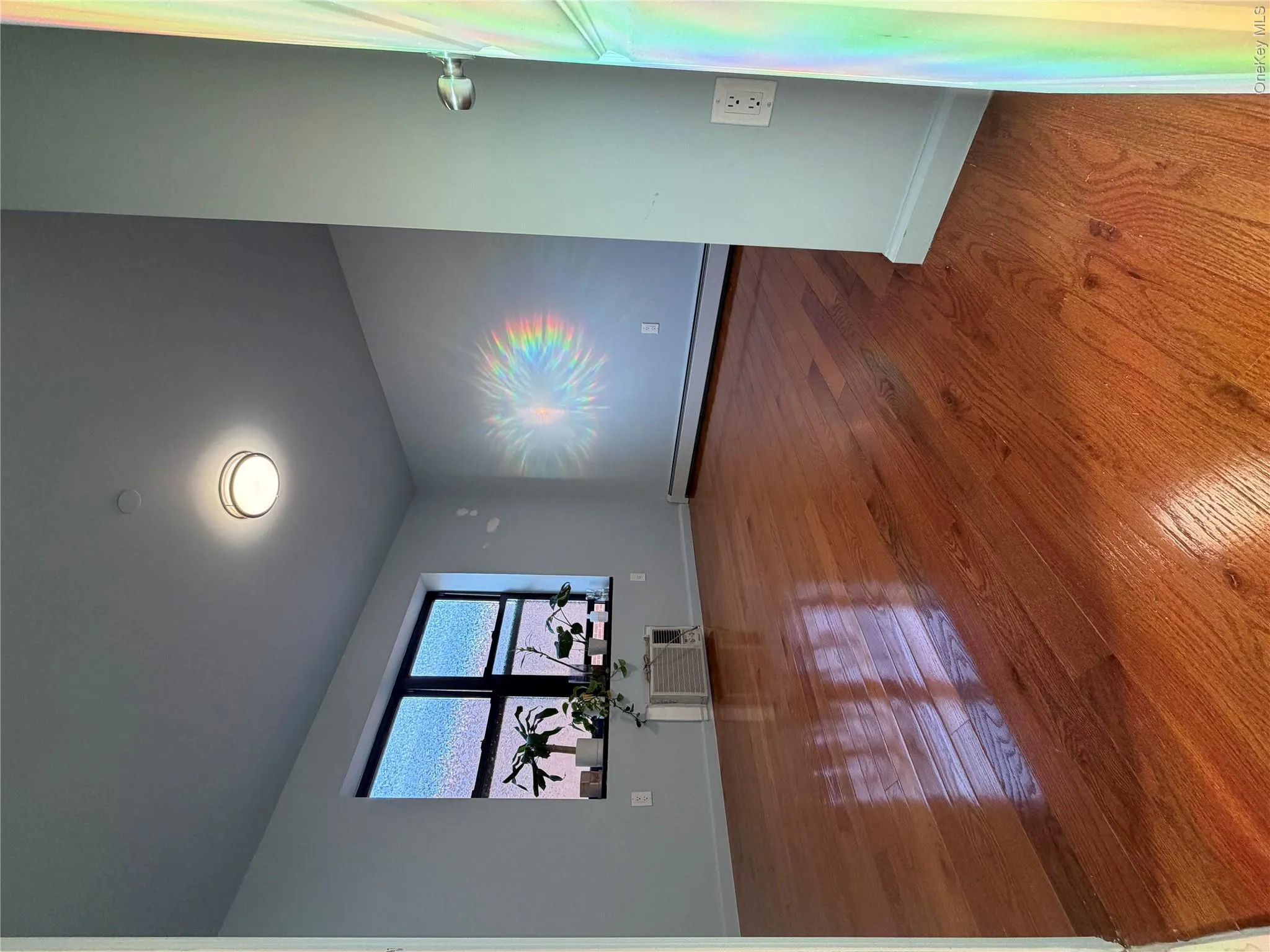1654 84th Street, New York, NY, 3 Bedrooms Bedrooms, 6 Rooms Rooms,1 BathroomBathrooms,Residential Lease,For Rent,84th,0,1063493 1654 84th Street, New York, NY, 3 Bedrooms Bedrooms, 6 Rooms Rooms,1 BathroomBathrooms,Residential Lease,For Rent,84th,0,1063493