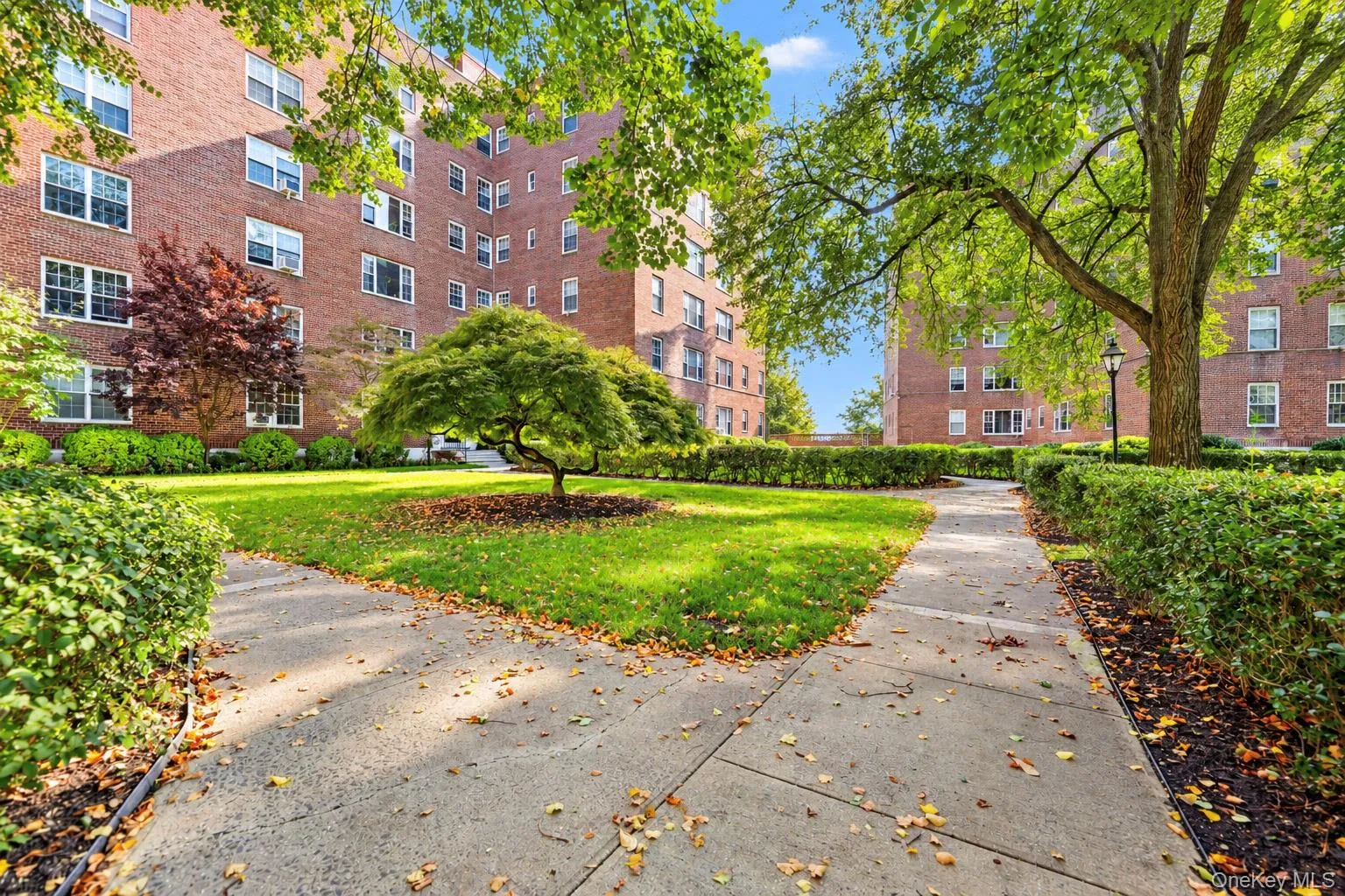 210 Pelham Road, New Rochelle, NY, 2 Bedrooms Bedrooms, 5 Rooms Rooms,1 BathroomBathrooms,Residential,For Rent,Pelham,0,1063502 210 Pelham Road, New Rochelle, NY, 2 Bedrooms Bedrooms, 5 Rooms Rooms,1 BathroomBathrooms,Residential,For Rent,Pelham,0,1063502