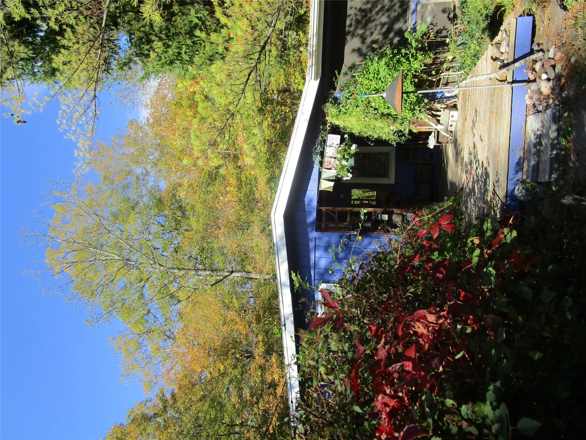 6 Hervey White Road, Woodstock, NY, 2 Bedrooms Bedrooms, 5 Rooms Rooms,1 BathroomBathrooms,Residential,For Rent,Hervey White,0,1063509 6 Hervey White Road, Woodstock, NY, 2 Bedrooms Bedrooms, 5 Rooms Rooms,1 BathroomBathrooms,Residential,For Rent,Hervey White,0,1063509