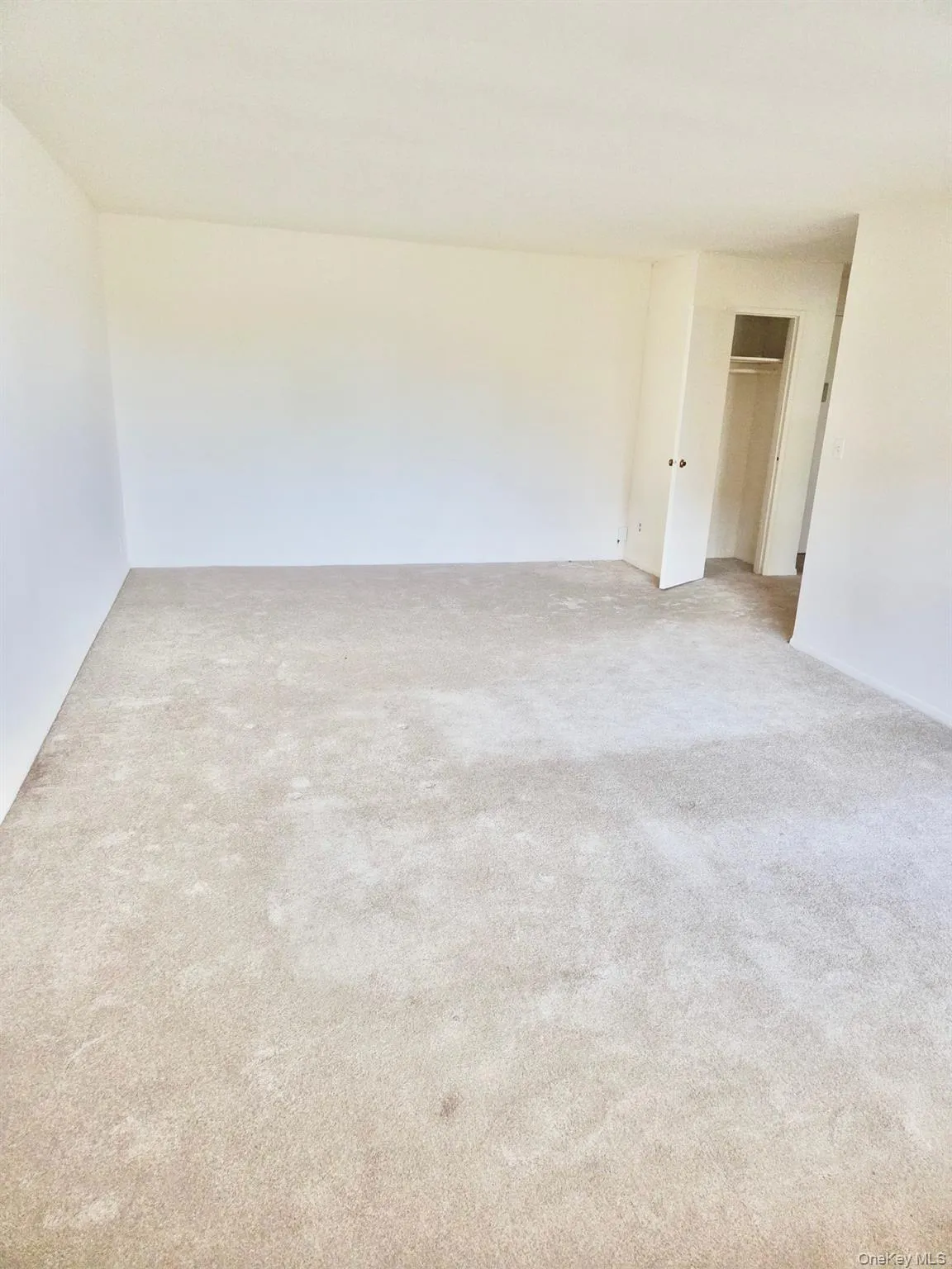 100 Lincoln Avenue, North Hempstead, NY, 1 Bedroom Bedrooms, 3 Room Rooms,1 BathroomBathrooms,Residential Lease,For Rent,Lincoln,0,1063541 100 Lincoln Avenue, North Hempstead, NY, 1 Bedroom Bedrooms, 3 Room Rooms,1 BathroomBathrooms,Residential Lease,For Rent,Lincoln,0,1063541