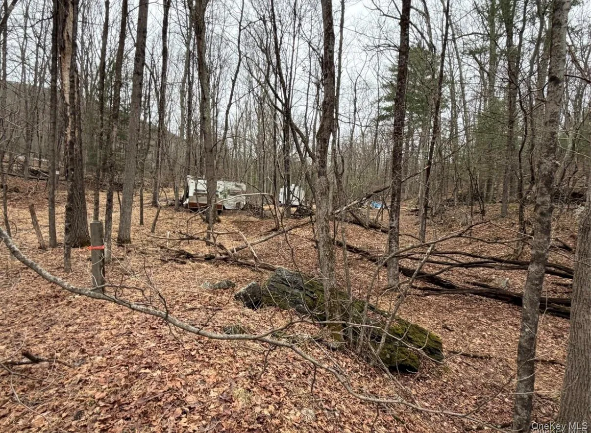 5798 State Route 42, Fallsburg, NY, ,Land,For Rent,State Route 42,0,1063545 5798 State Route 42, Fallsburg, NY, ,Land,For Rent,State Route 42,0,1063545