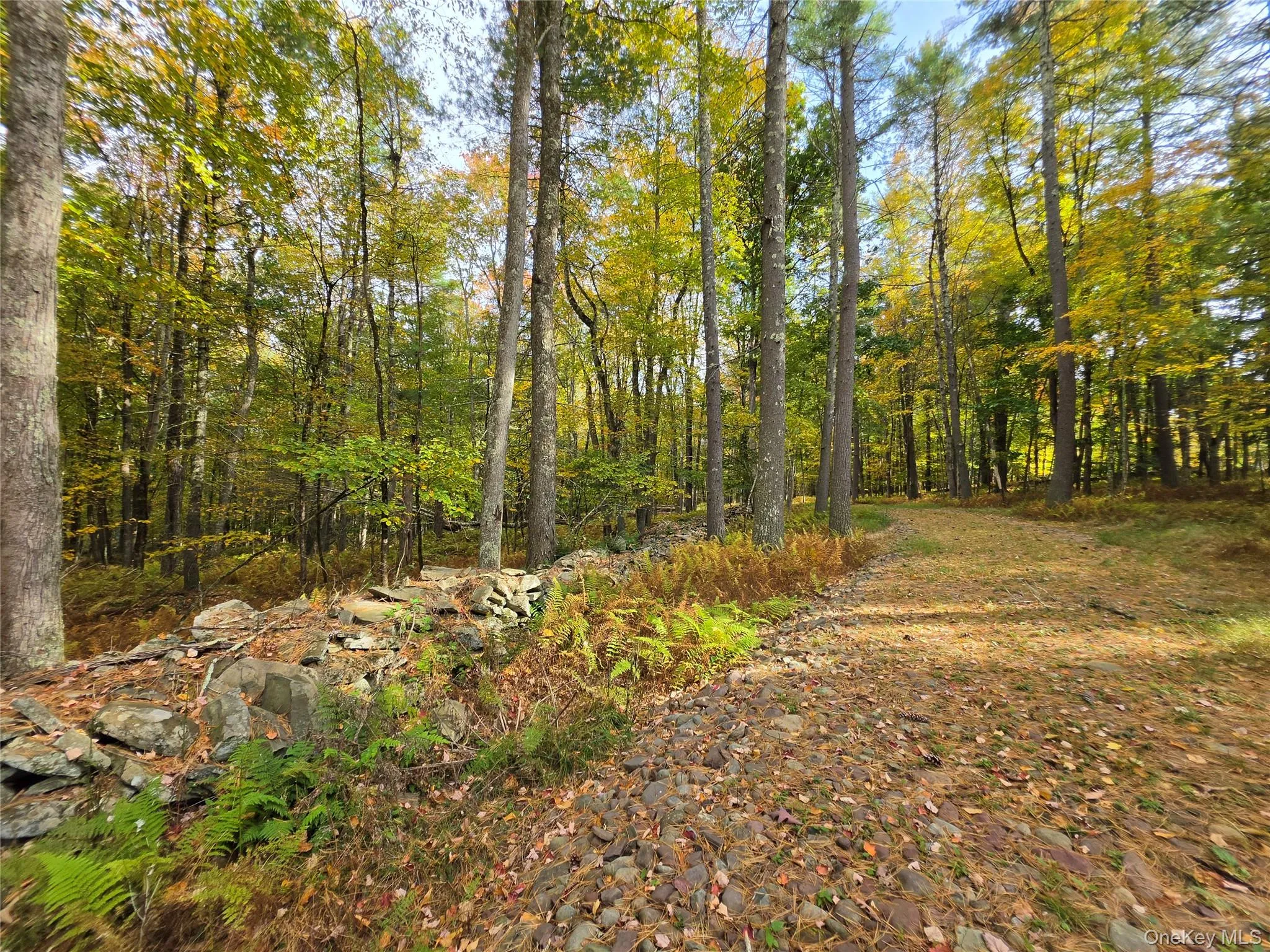 TBD Evergreen Lane, Tusten, NY, ,Land,For Rent,Evergreen,0,1063614 TBD Evergreen Lane, Tusten, NY, ,Land,For Rent,Evergreen,0,1063614