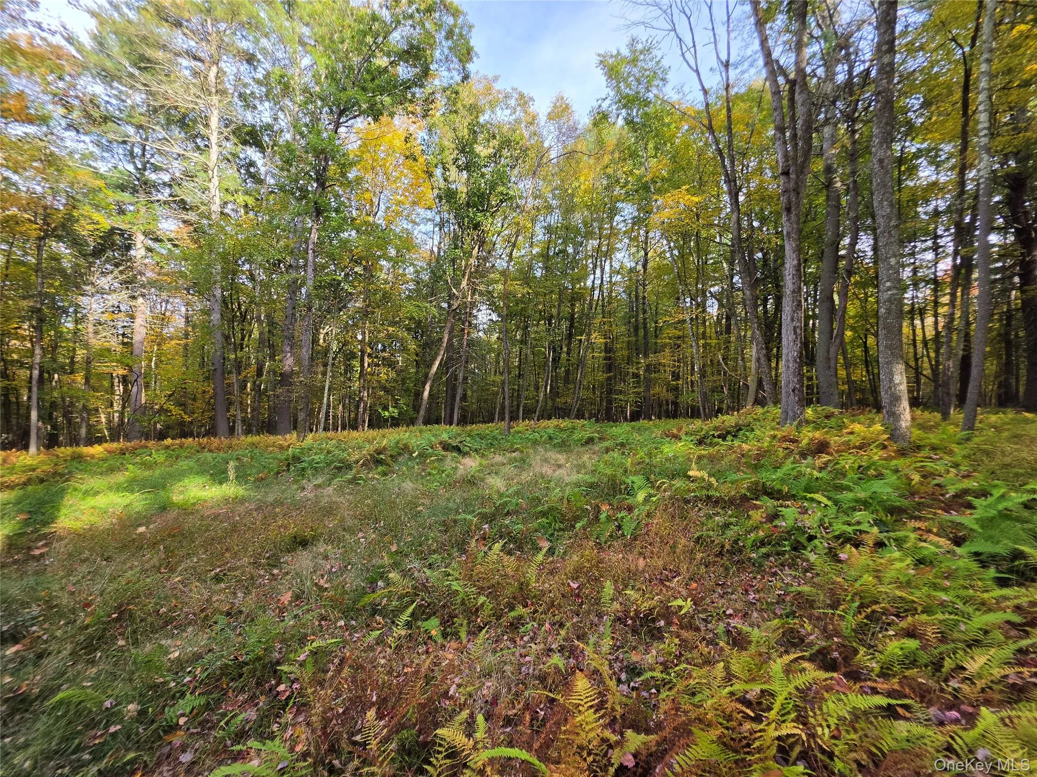 TBD Evergreen Lane, Tusten, NY, ,Land,For Rent,Evergreen,0,1063614 TBD Evergreen Lane, Tusten, NY, ,Land,For Rent,Evergreen,0,1063614