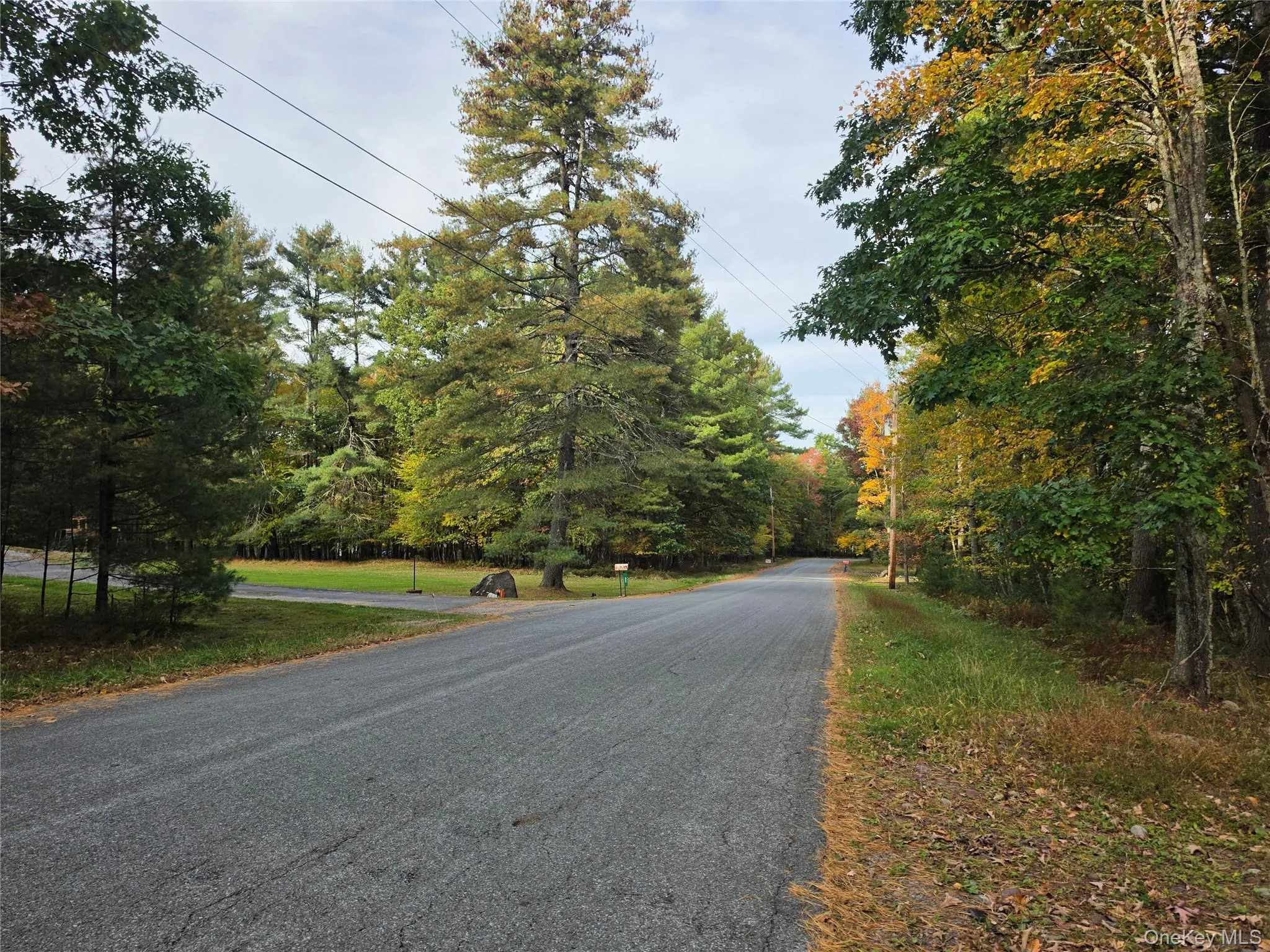 TBD Evergreen Lane, Tusten, NY, ,Land,For Rent,Evergreen,0,1063614 TBD Evergreen Lane, Tusten, NY, ,Land,For Rent,Evergreen,0,1063614