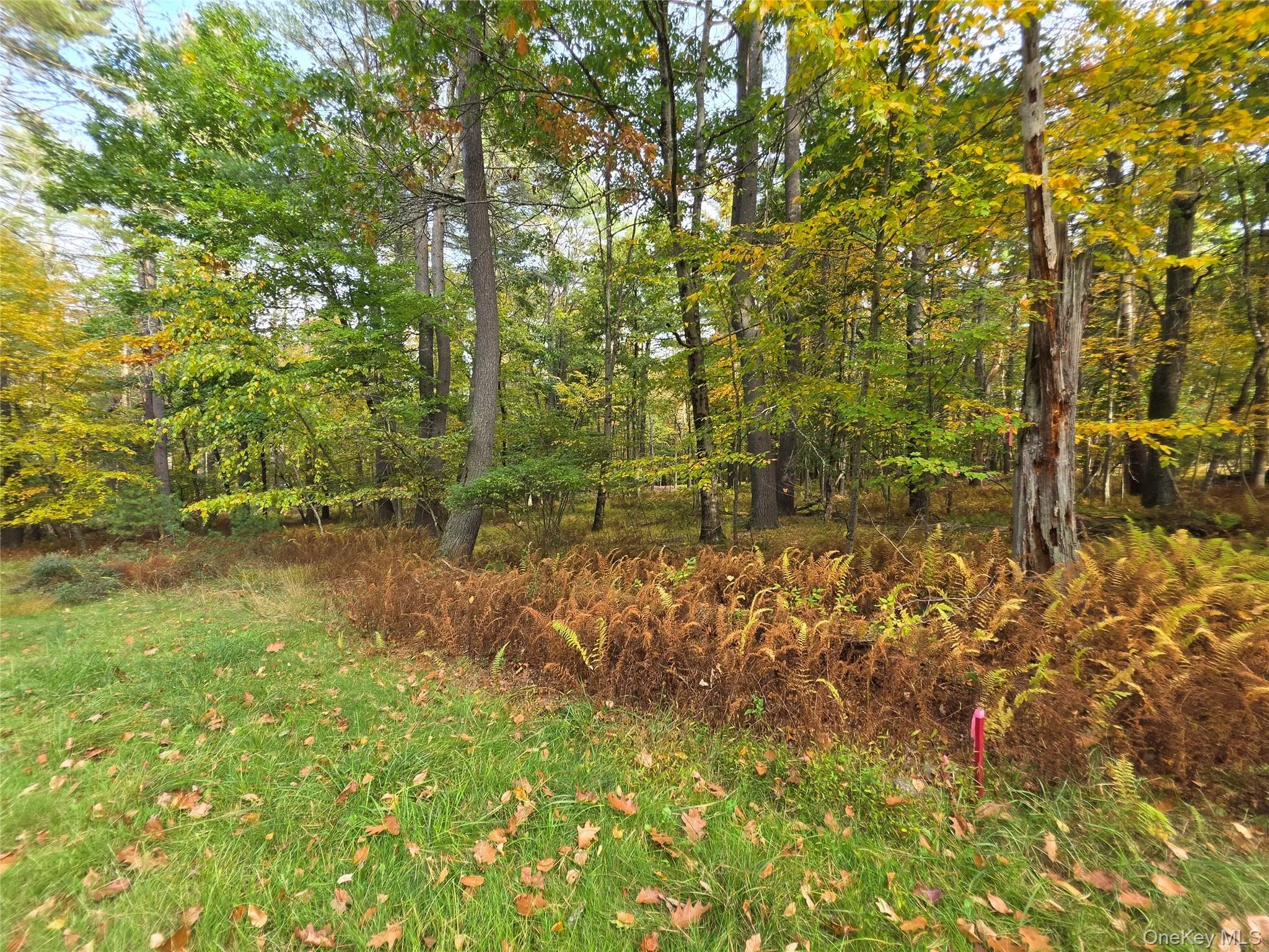 TBD Evergreen Lane, Tusten, NY, ,Land,For Rent,Evergreen,0,1063614 TBD Evergreen Lane, Tusten, NY, ,Land,For Rent,Evergreen,0,1063614