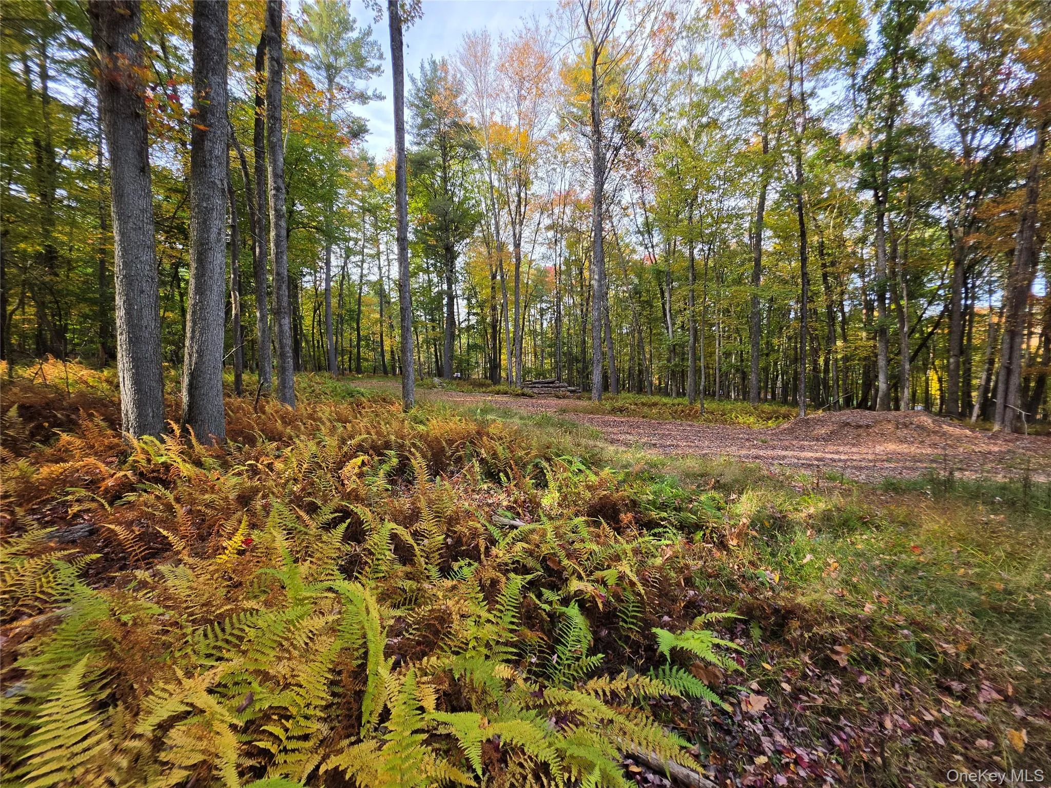 TBD Evergreen Lane, Tusten, NY, ,Land,For Rent,Evergreen,0,1063614 TBD Evergreen Lane, Tusten, NY, ,Land,For Rent,Evergreen,0,1063614