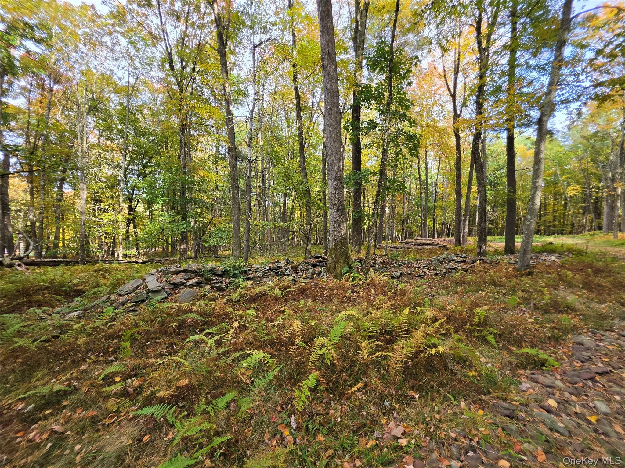 TBD Evergreen Lane, Tusten, NY, ,Land,For Rent,Evergreen,0,1063614 TBD Evergreen Lane, Tusten, NY, ,Land,For Rent,Evergreen,0,1063614