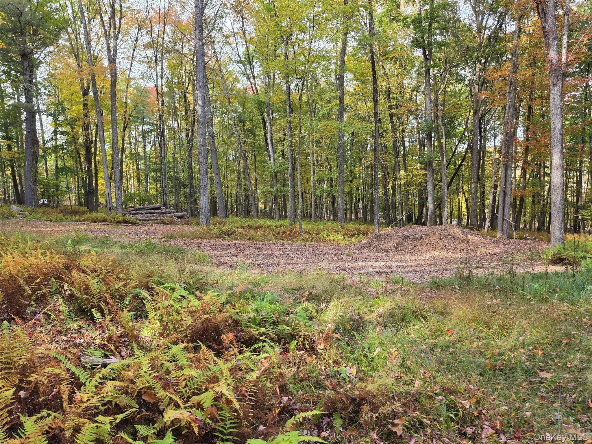 TBD Evergreen Lane, Tusten, NY, ,Land,For Rent,Evergreen,0,1063614 TBD Evergreen Lane, Tusten, NY, ,Land,For Rent,Evergreen,0,1063614