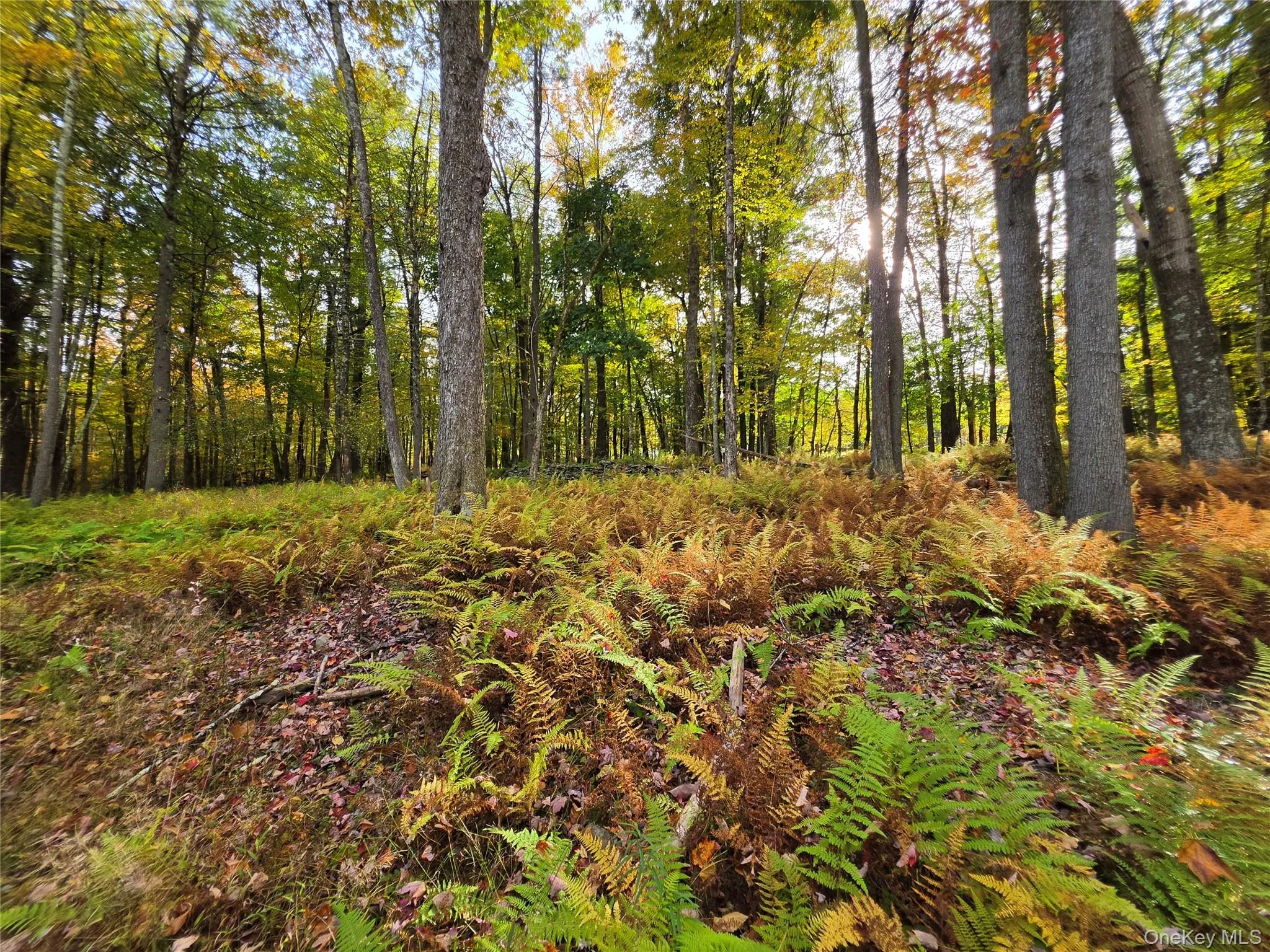 TBD Evergreen Lane, Tusten, NY, ,Land,For Rent,Evergreen,0,1063614 TBD Evergreen Lane, Tusten, NY, ,Land,For Rent,Evergreen,0,1063614