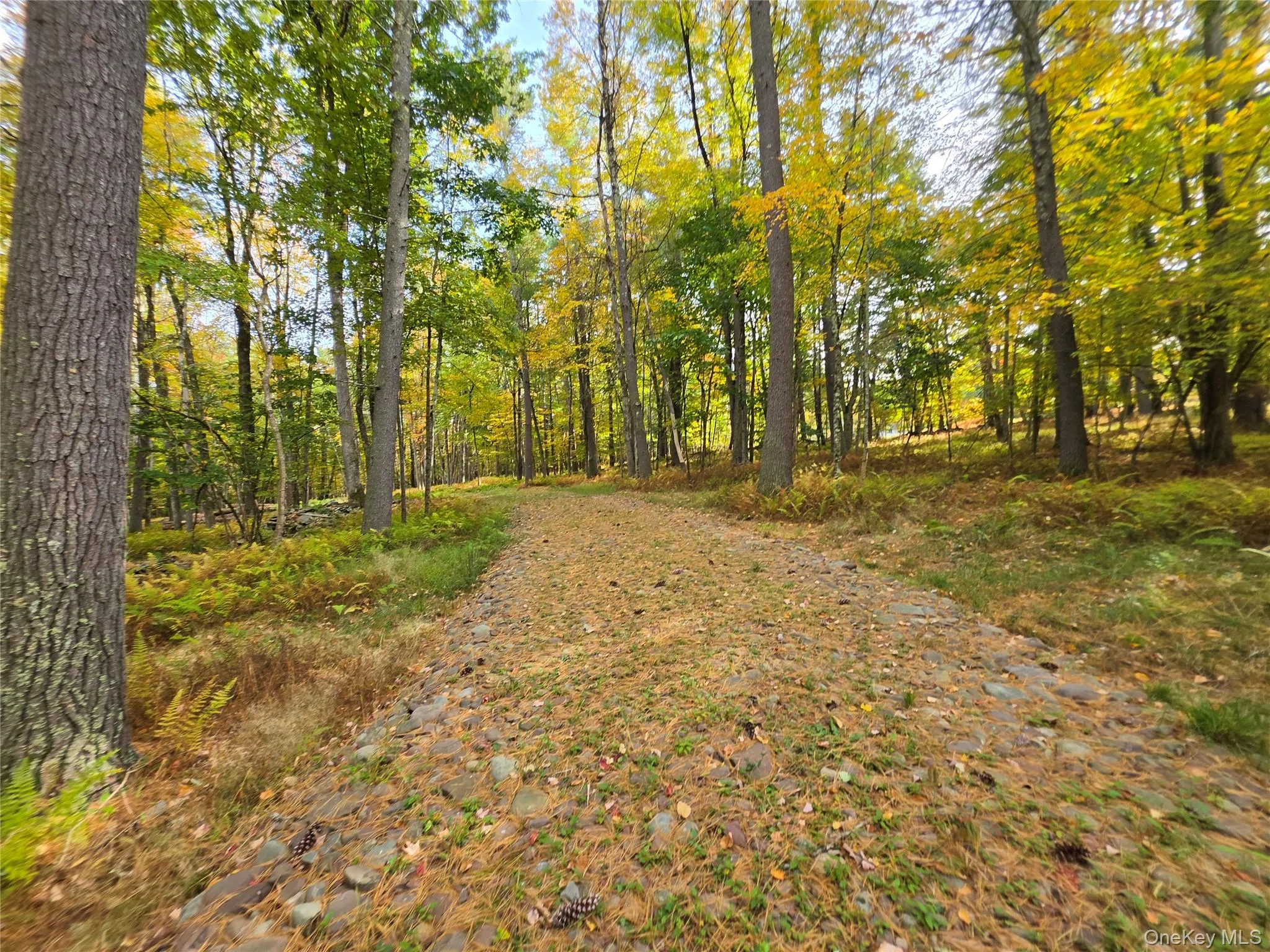 TBD Evergreen Lane, Tusten, NY, ,Land,For Rent,Evergreen,0,1063614 TBD Evergreen Lane, Tusten, NY, ,Land,For Rent,Evergreen,0,1063614