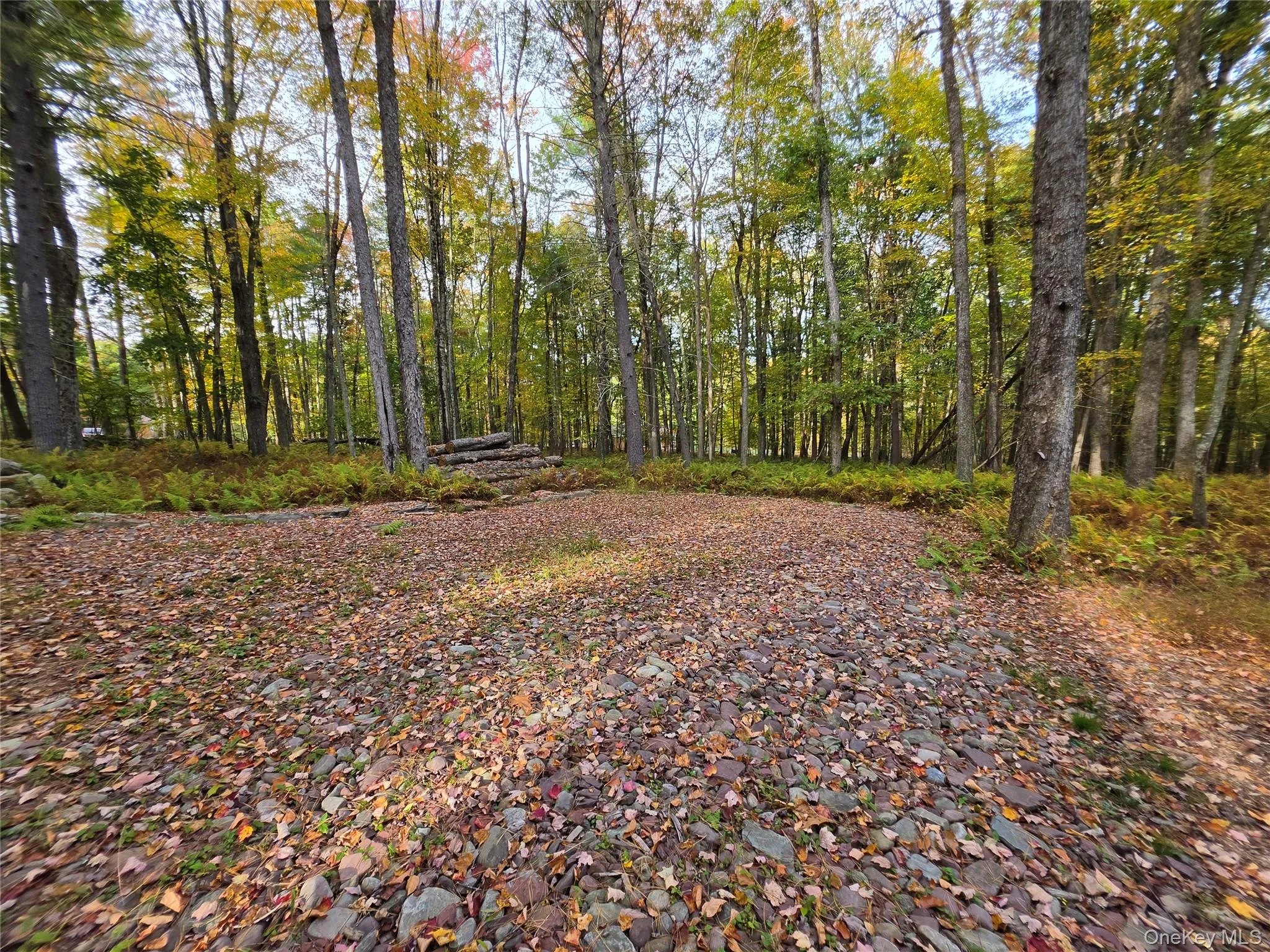 TBD Evergreen Lane, Tusten, NY, ,Land,For Rent,Evergreen,0,1063614 TBD Evergreen Lane, Tusten, NY, ,Land,For Rent,Evergreen,0,1063614