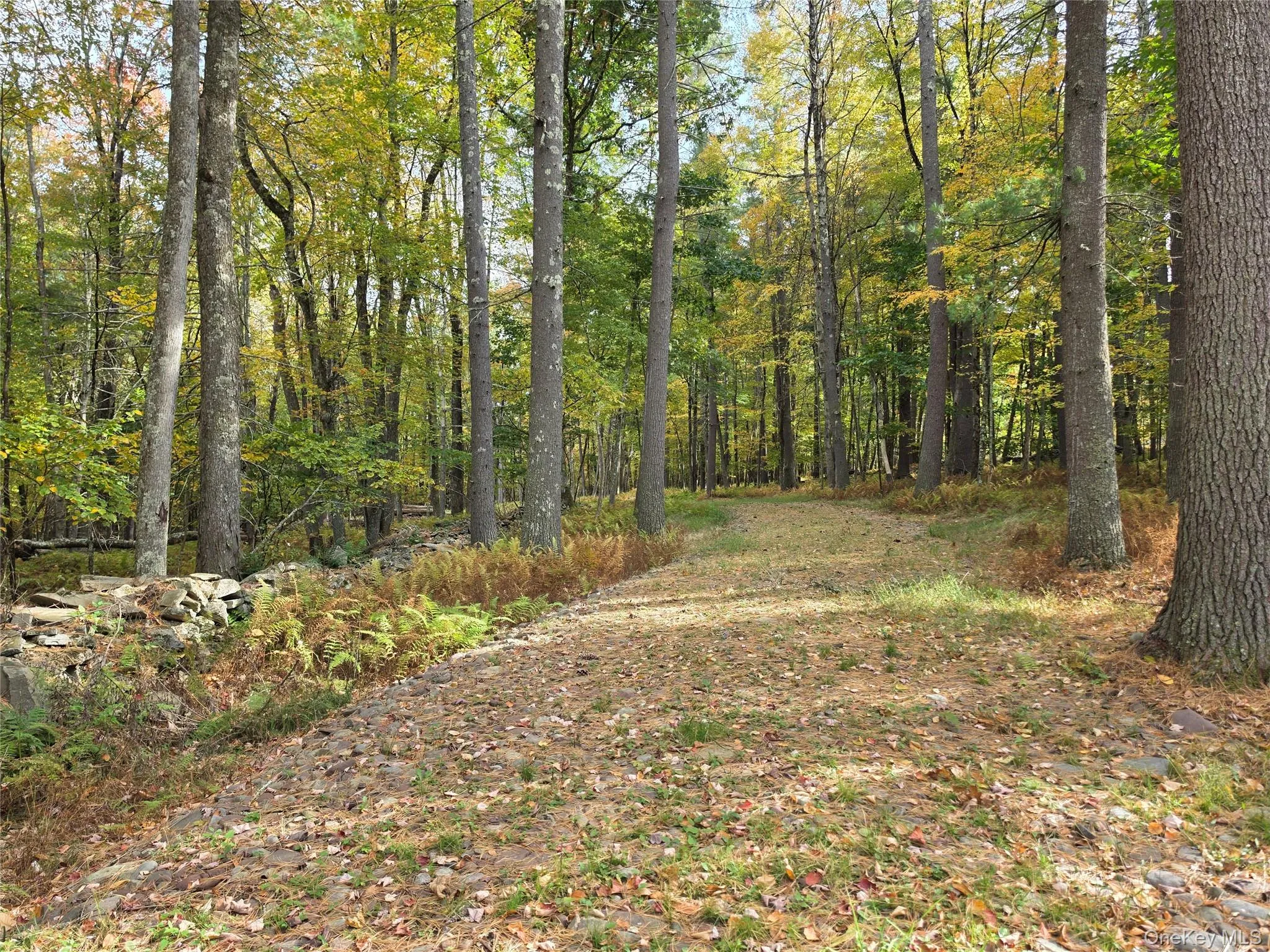 TBD Evergreen Lane, Tusten, NY, ,Land,For Rent,Evergreen,0,1063614 TBD Evergreen Lane, Tusten, NY, ,Land,For Rent,Evergreen,0,1063614