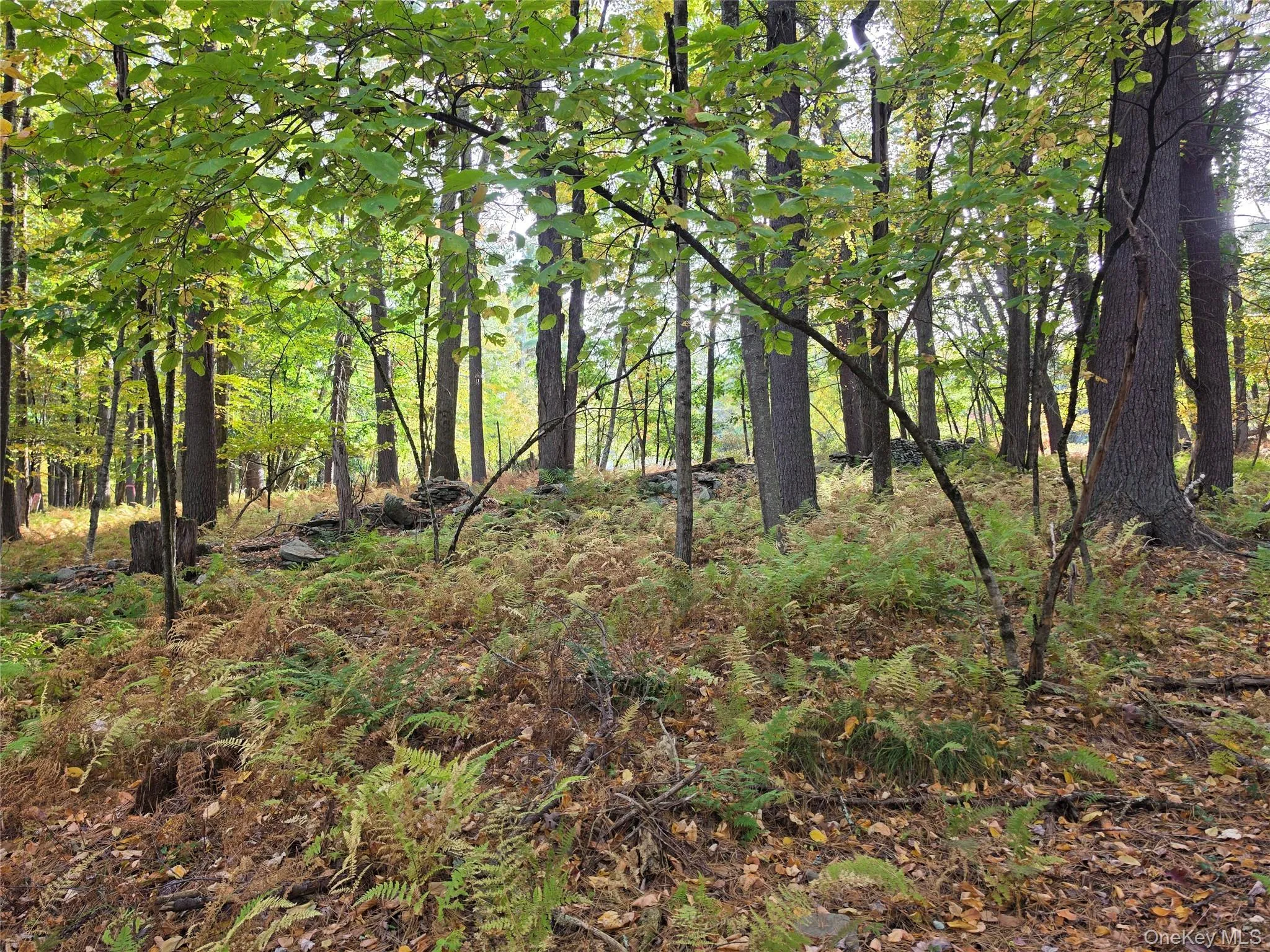 TBD Evergreen Lane, Tusten, NY, ,Land,For Rent,Evergreen,0,1063614 TBD Evergreen Lane, Tusten, NY, ,Land,For Rent,Evergreen,0,1063614