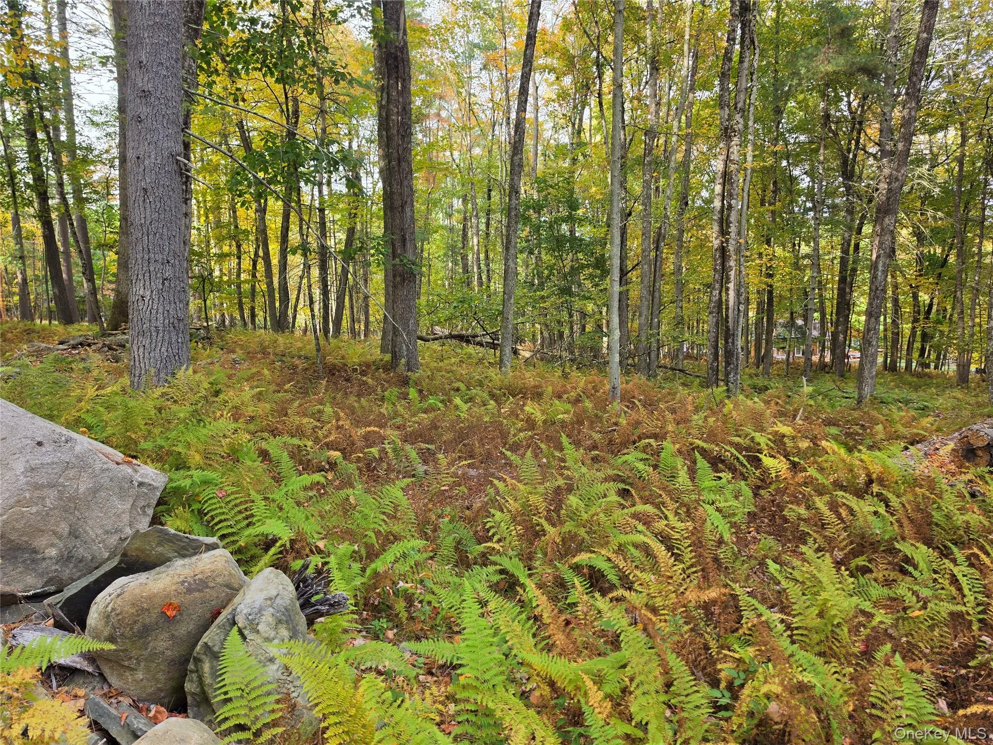 TBD Evergreen Lane, Tusten, NY, ,Land,For Rent,Evergreen,0,1063614 TBD Evergreen Lane, Tusten, NY, ,Land,For Rent,Evergreen,0,1063614