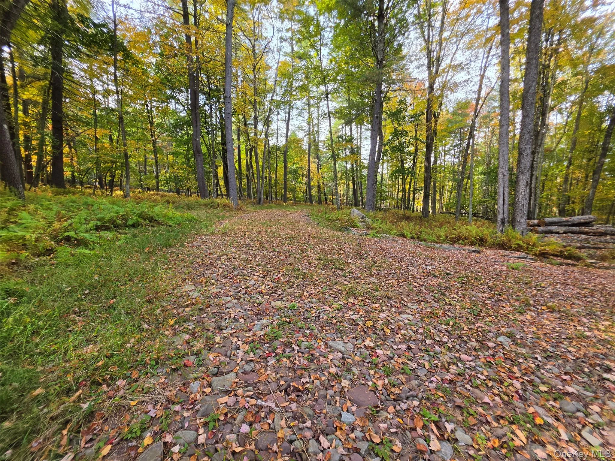 TBD Evergreen Lane, Tusten, NY, ,Land,For Rent,Evergreen,0,1063614 TBD Evergreen Lane, Tusten, NY, ,Land,For Rent,Evergreen,0,1063614